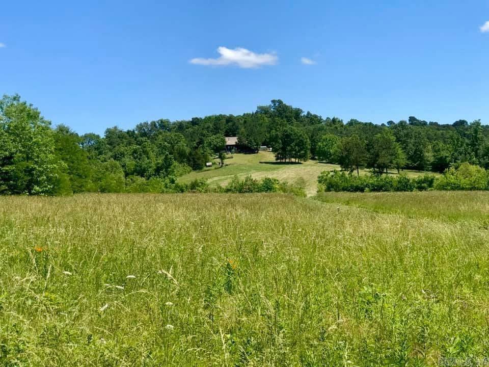 150 Twin Creeks  Ben Lomond, AR