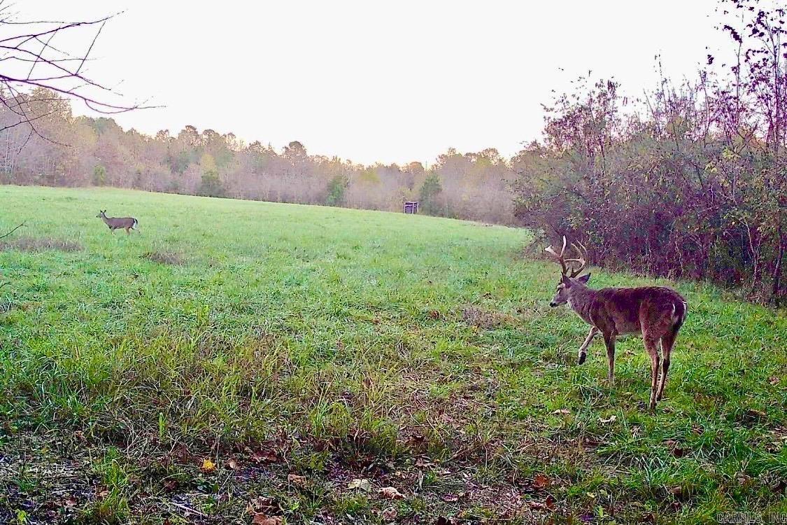 150 Twin Creeks  Ben Lomond, AR