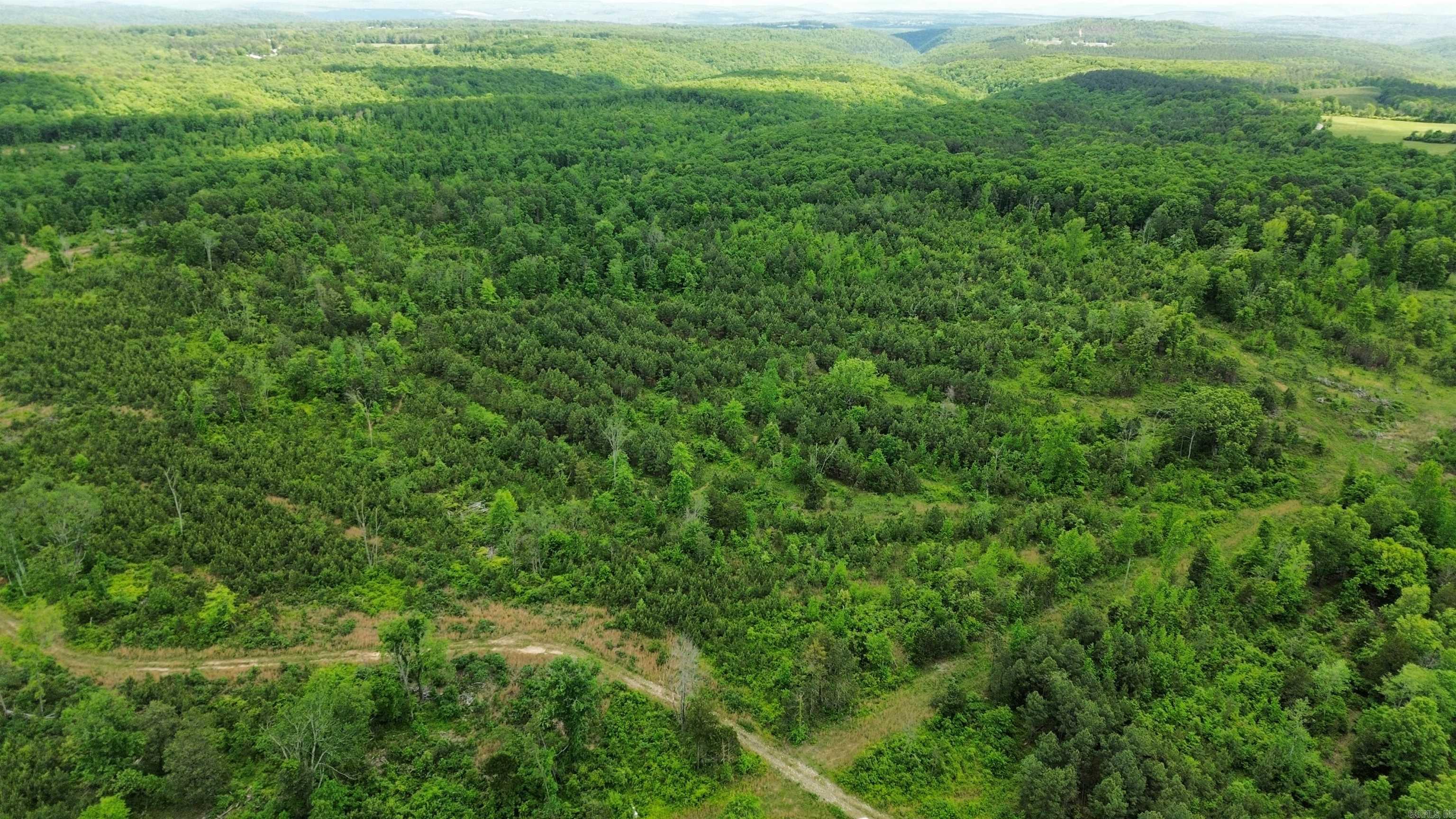 5000 Shady Grove  Shirley, AR