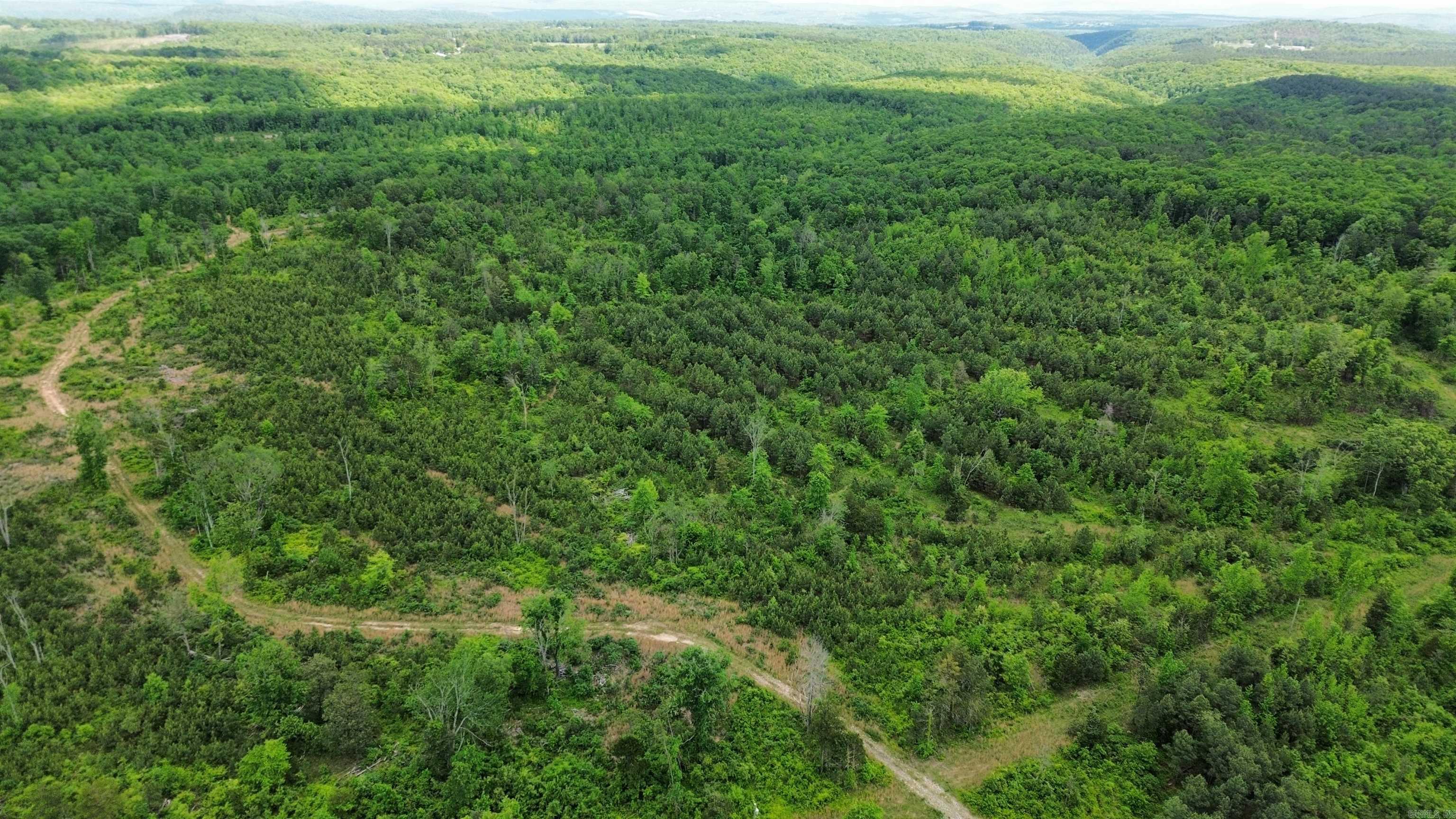 5000 Shady Grove  Shirley, AR