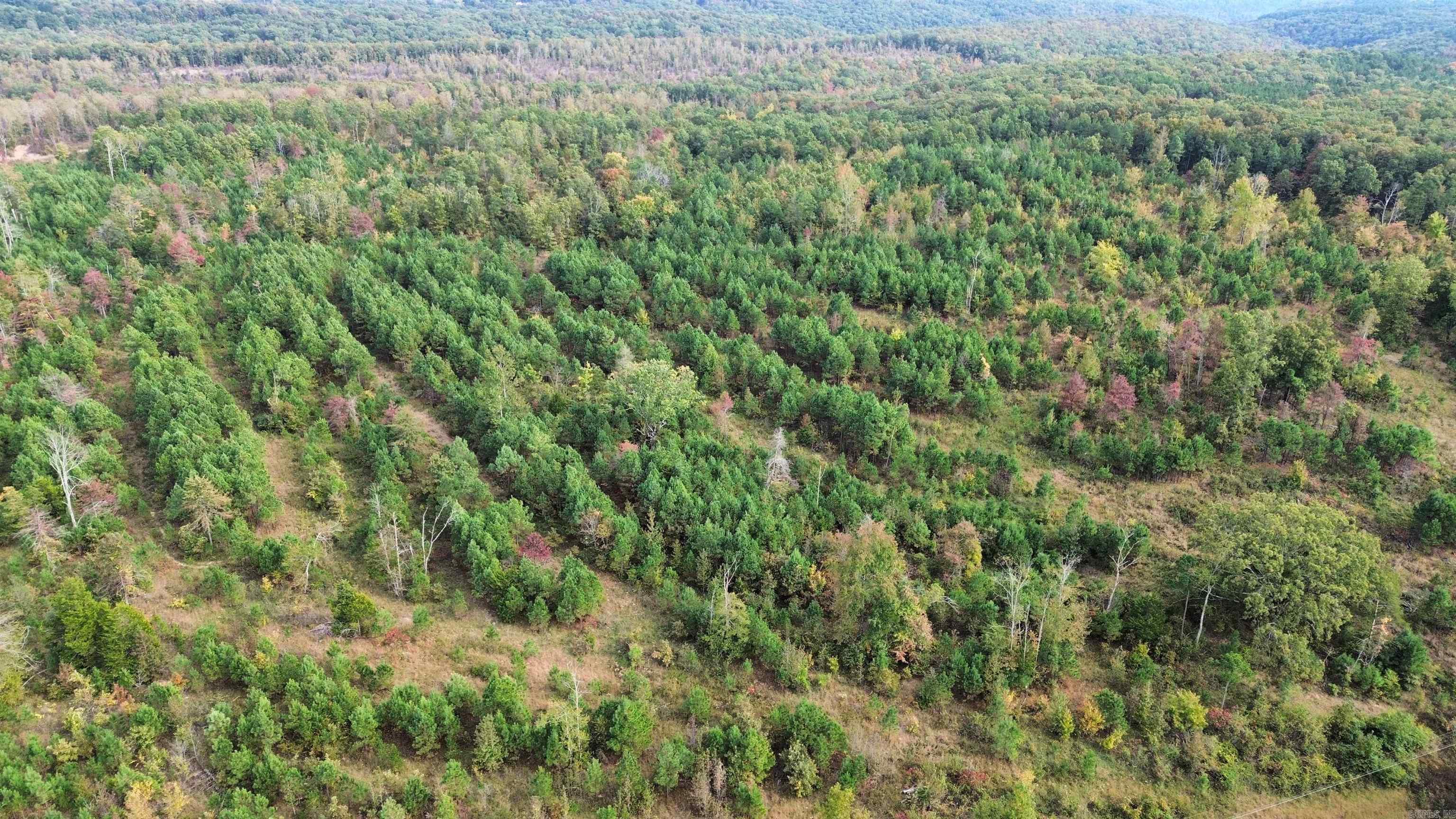 5000 Shady Grove  Shirley, AR