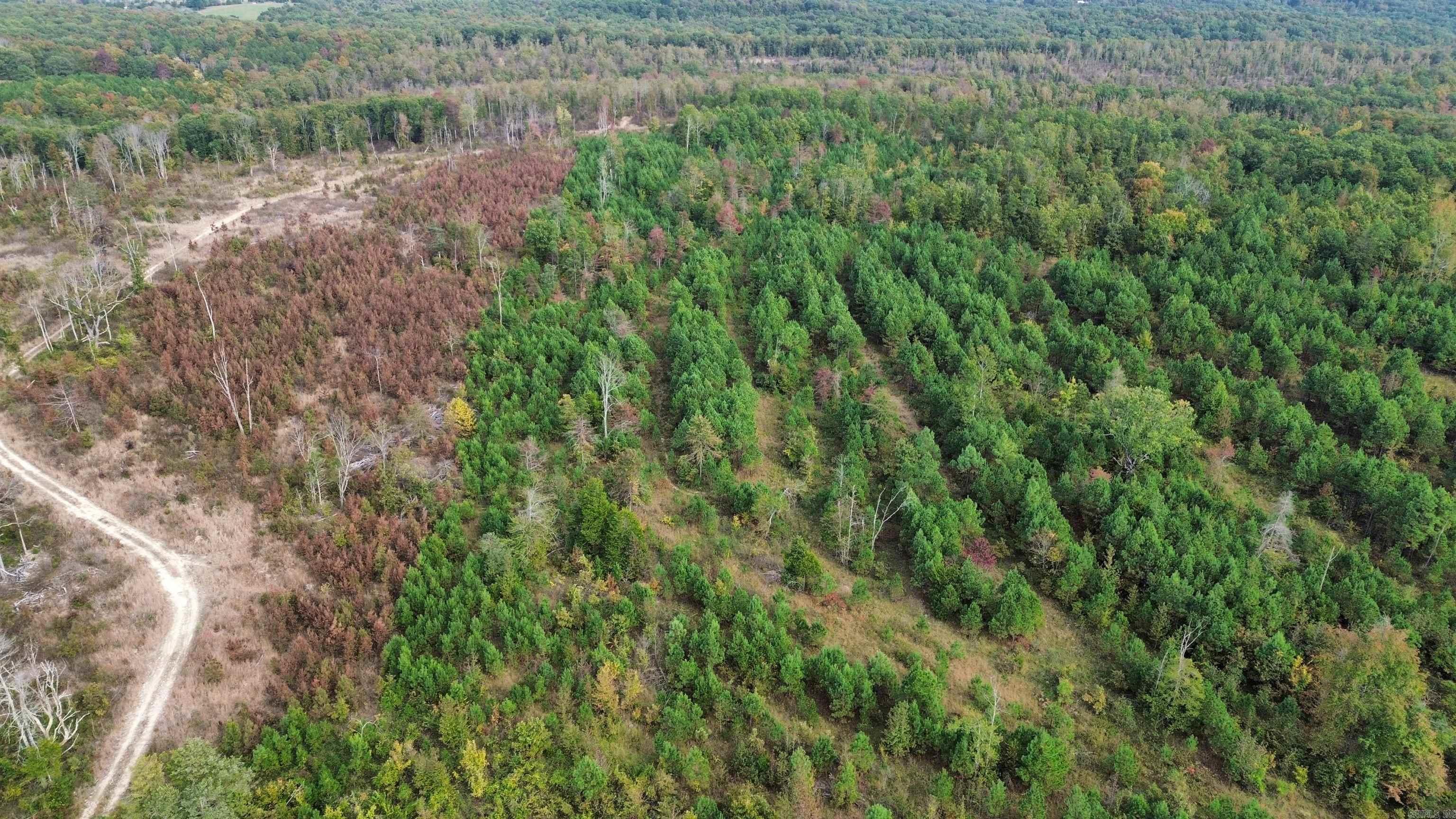 5000 Shady Grove  Shirley, AR