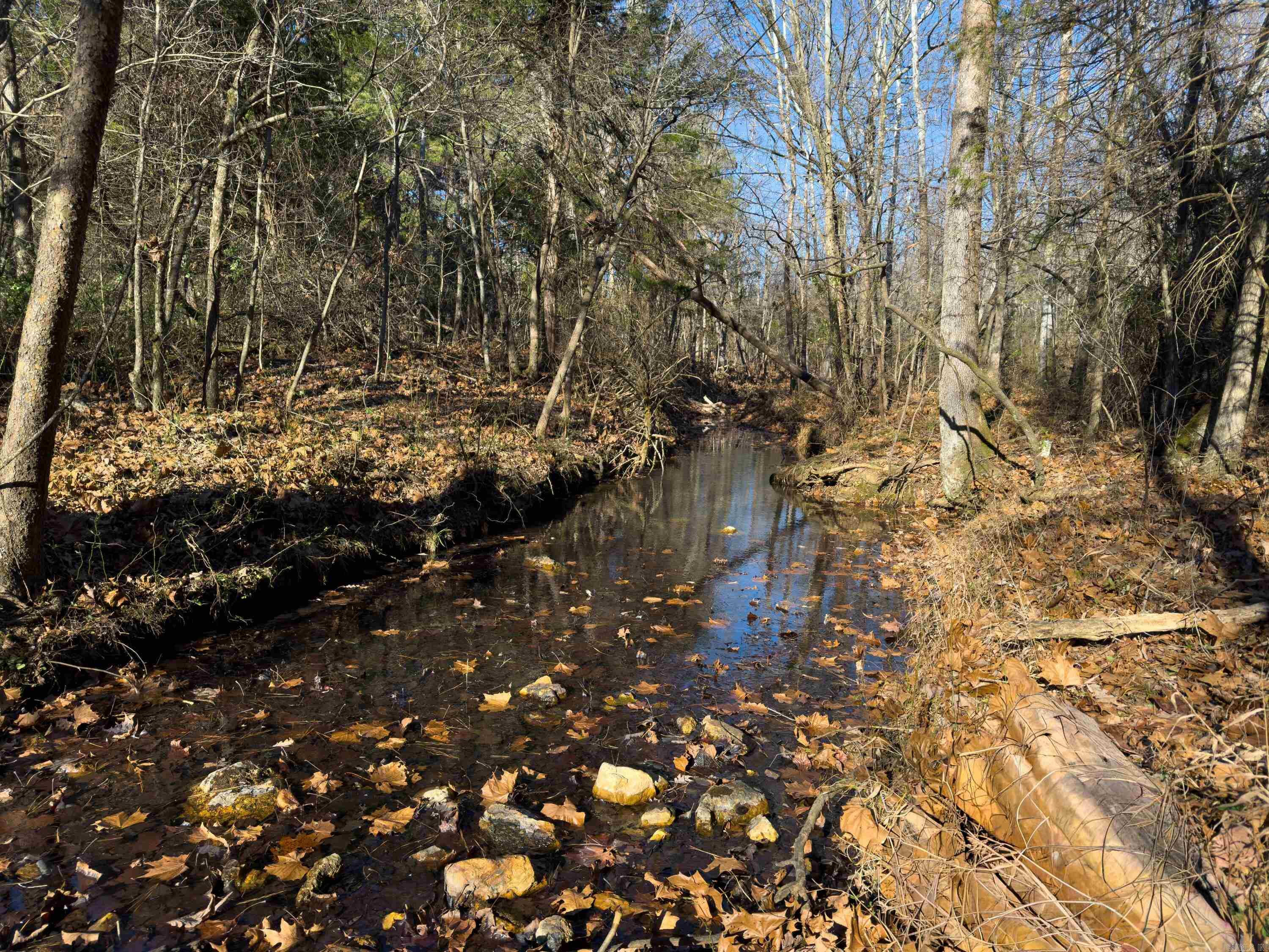  Pleasant Run Rd  Mammoth Spring, AR