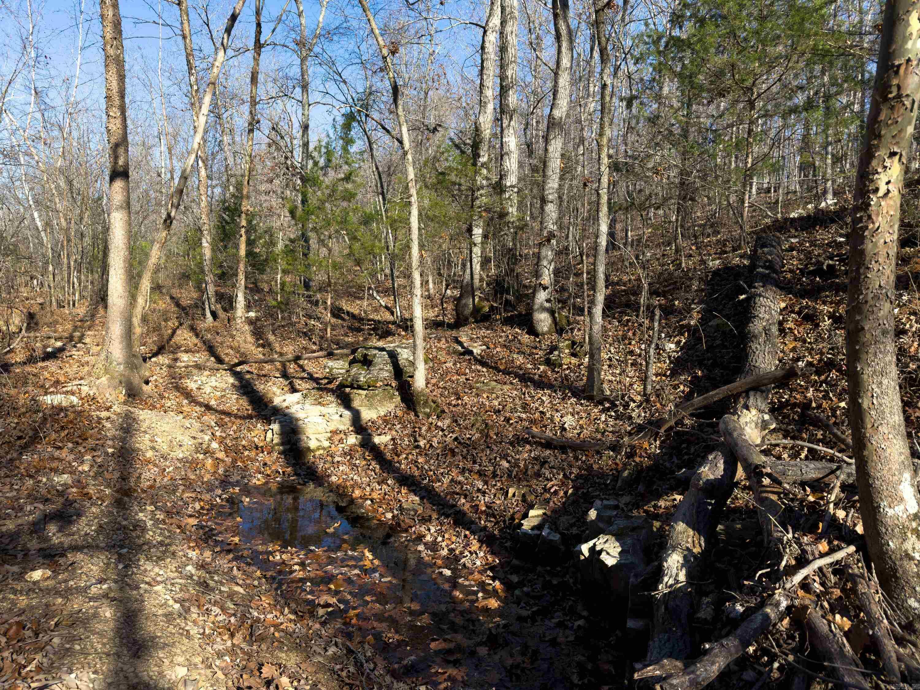  Pleasant Run Rd  Mammoth Spring, AR