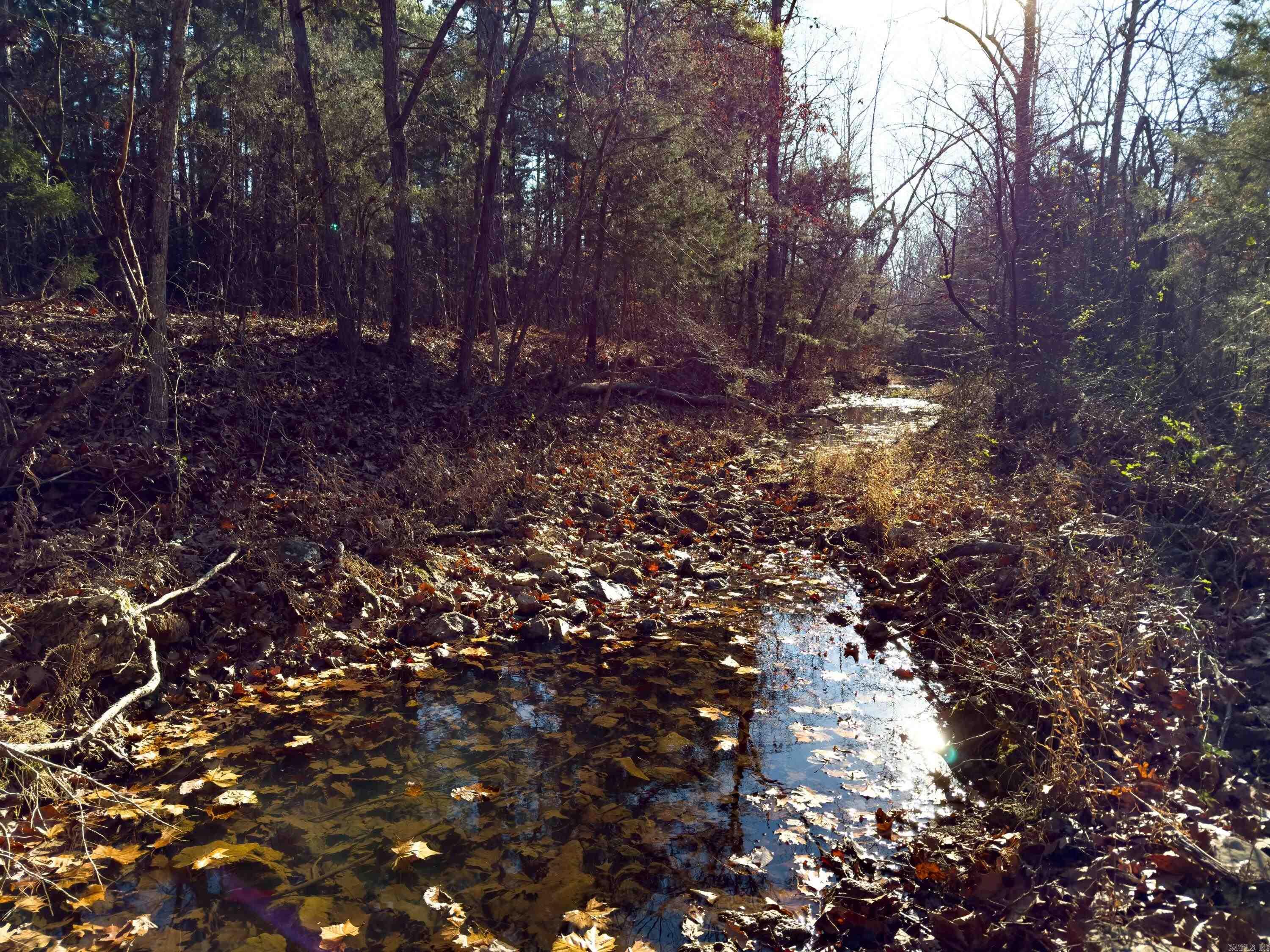  Pleasant Run Rd  Mammoth Spring, AR