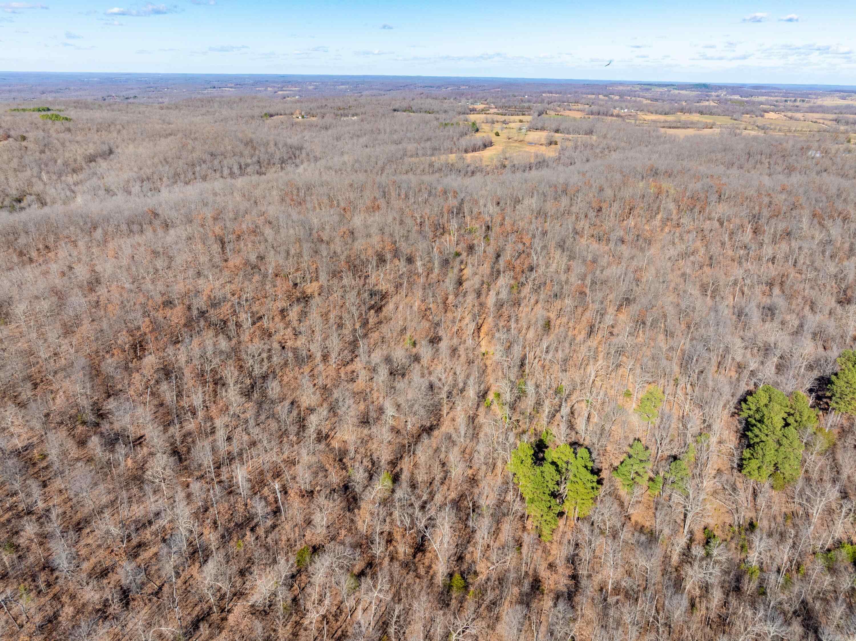  Pleasant Run Rd  Mammoth Spring, AR