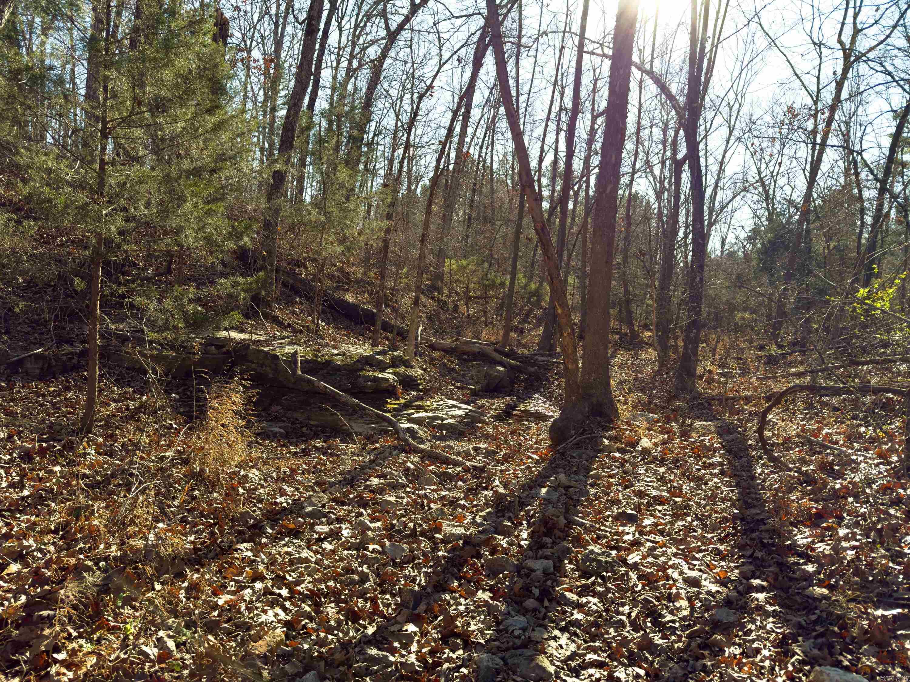  Pleasant Run Rd  Mammoth Spring, AR