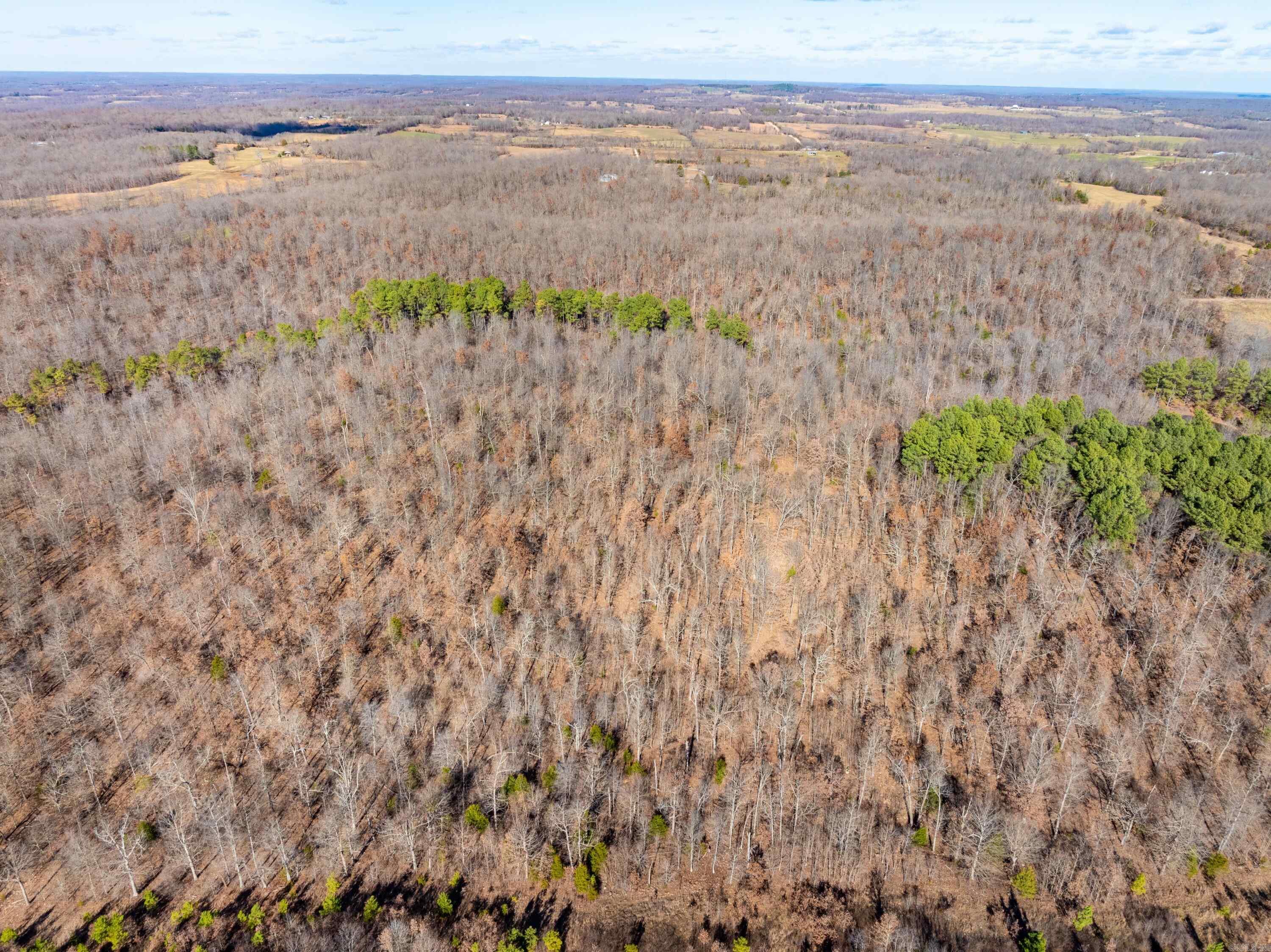  Pleasant Run Rd  Mammoth Spring, AR