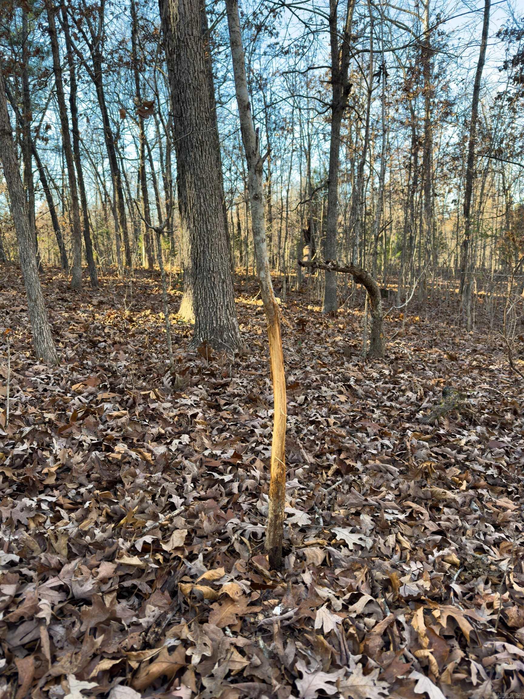  Pleasant Run Rd  Mammoth Spring, AR