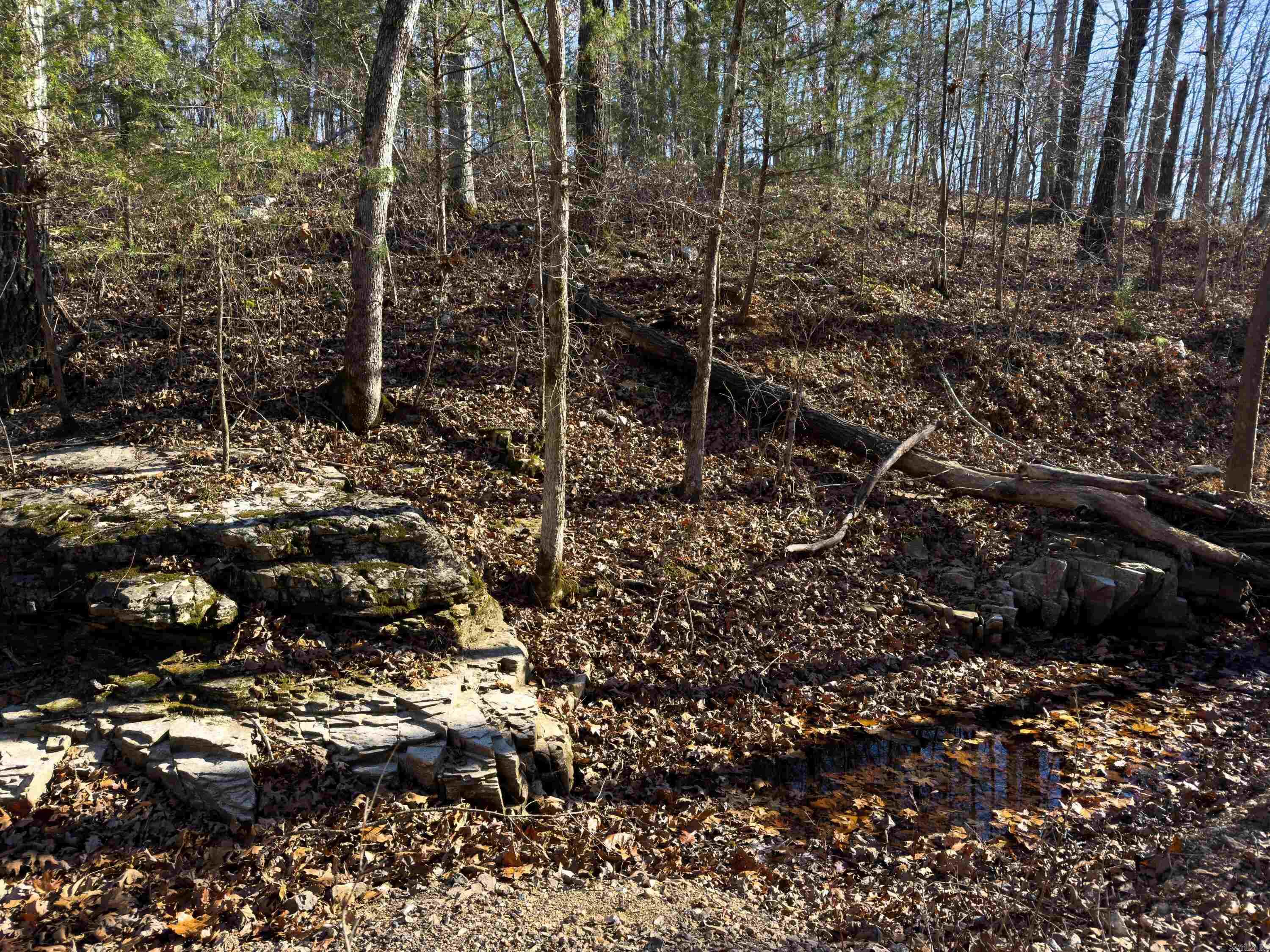  Pleasant Run Rd  Mammoth Spring, AR