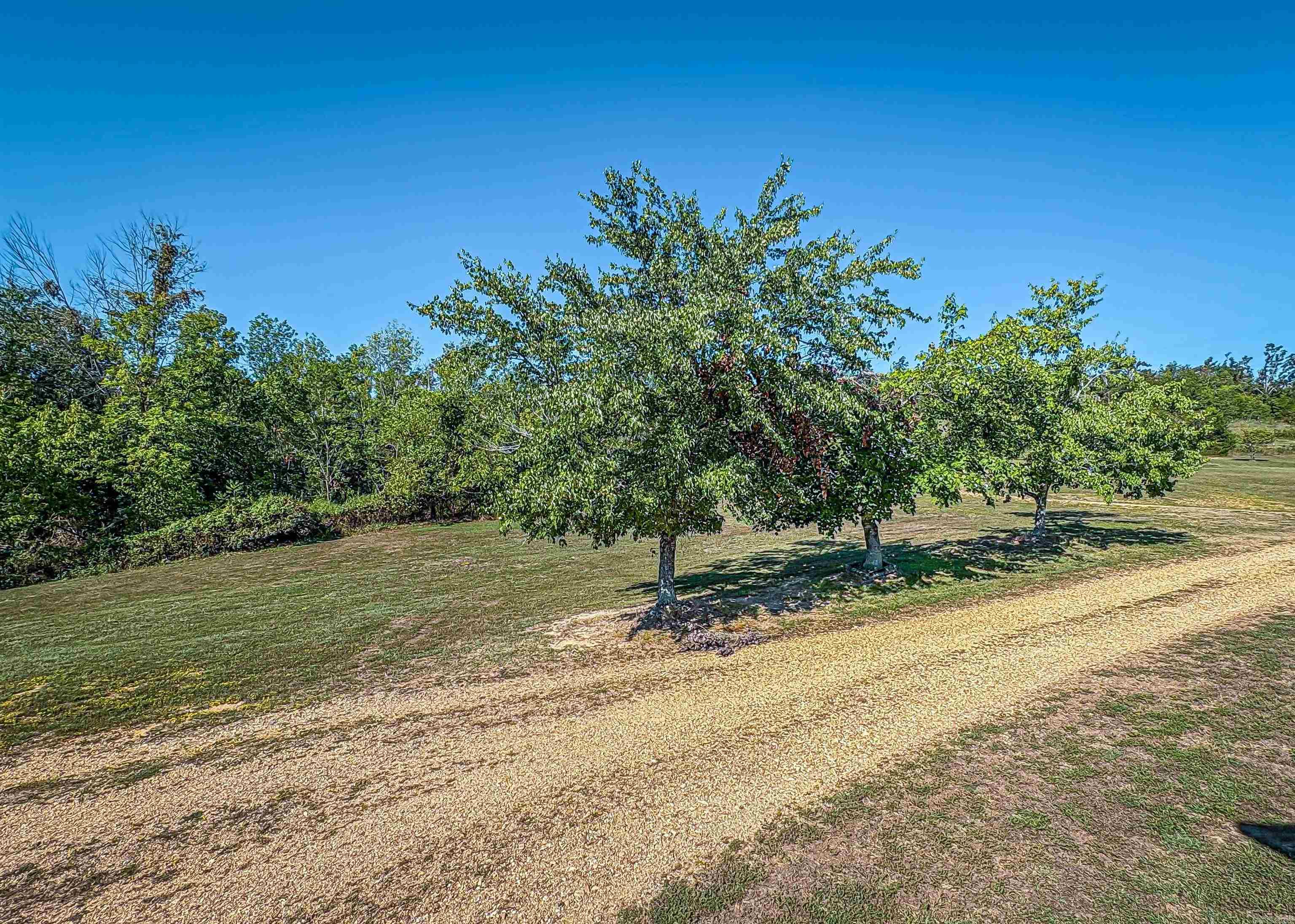 1706 MC 4006  Yellville, AR