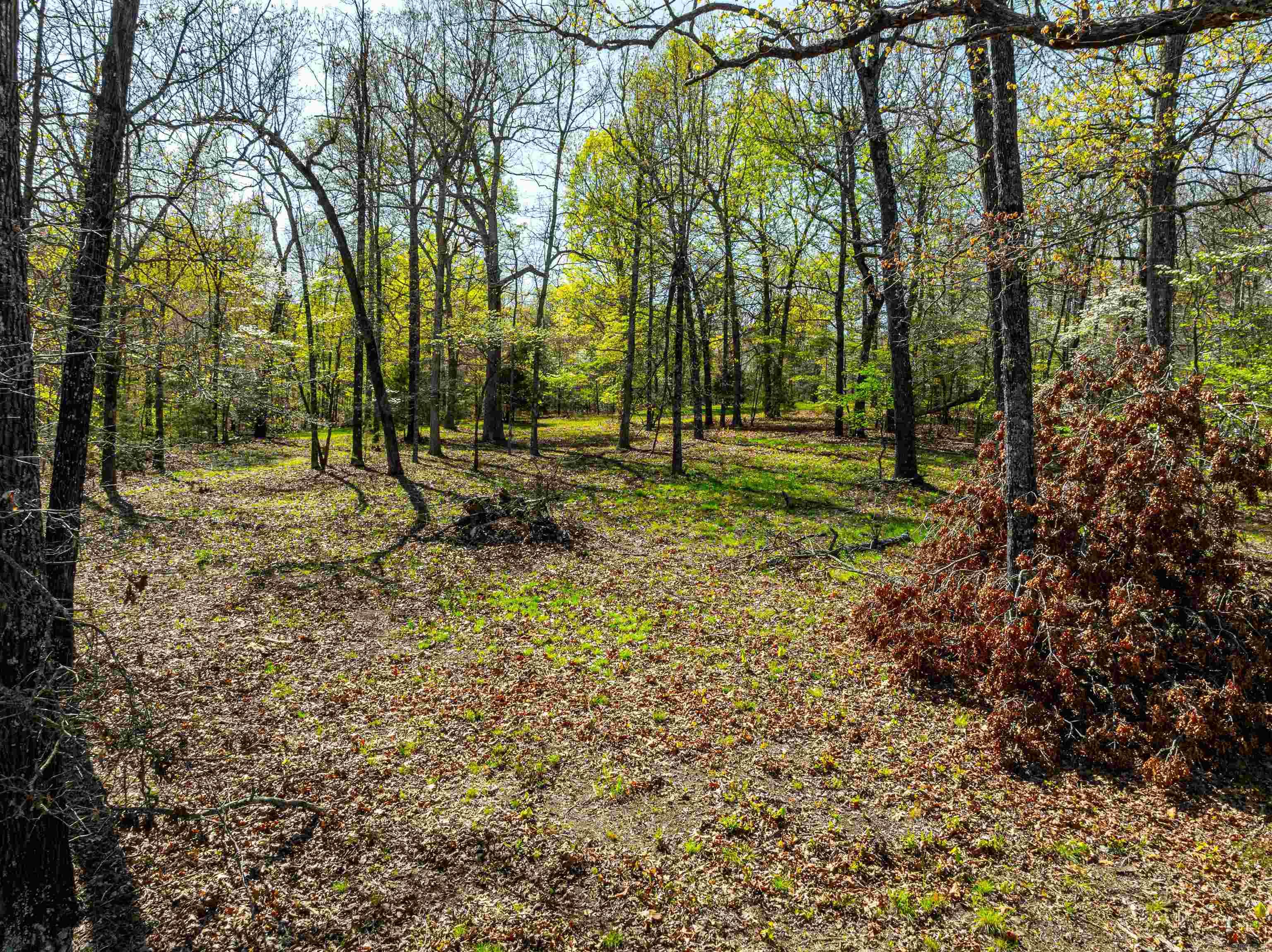 0 Everett Trl  Oxford, AR