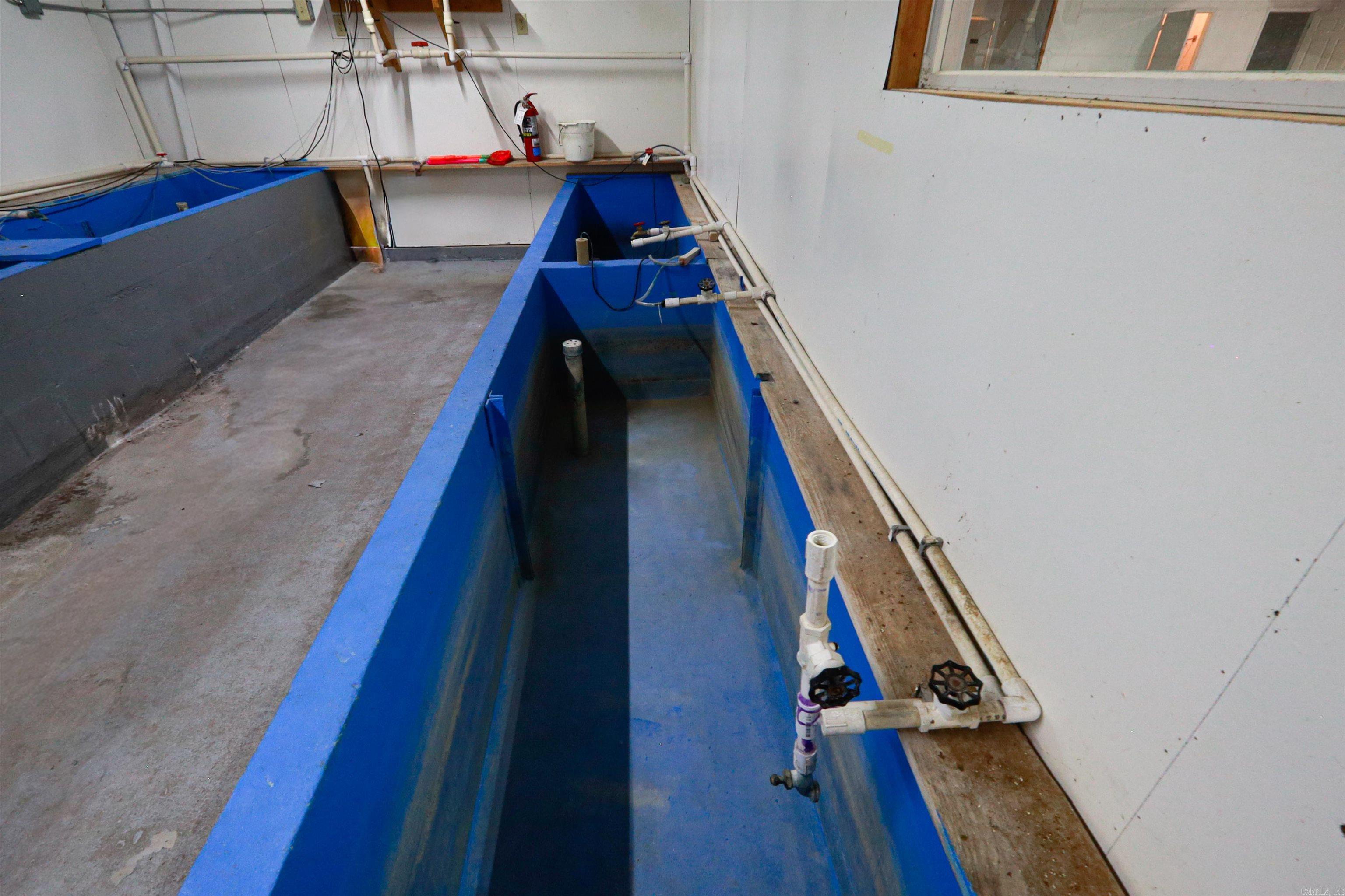 4307 HWY 270  Mount Ida, AR