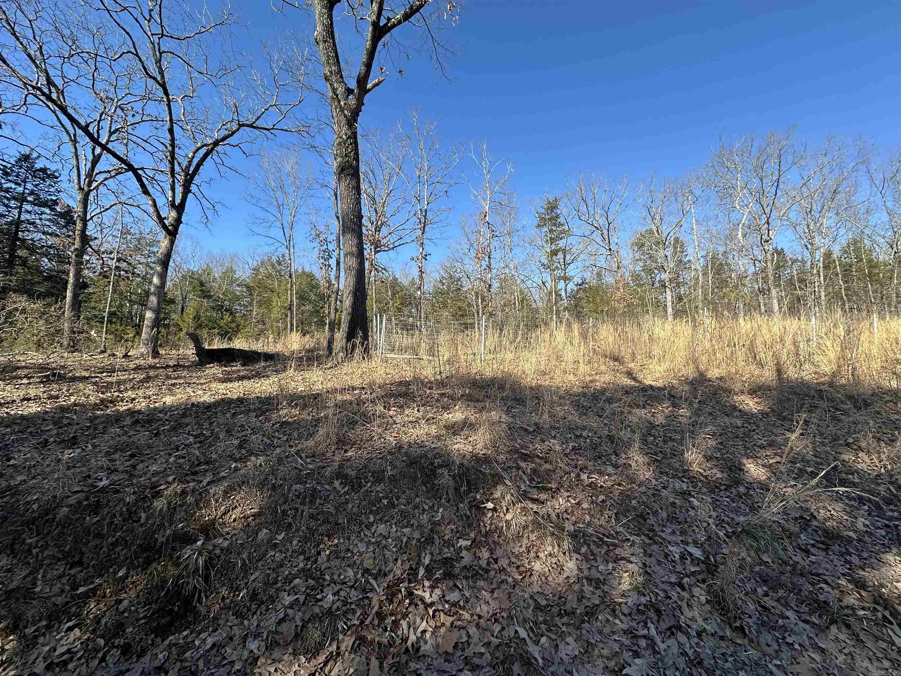 50 Cochise  Greers Ferry, AR