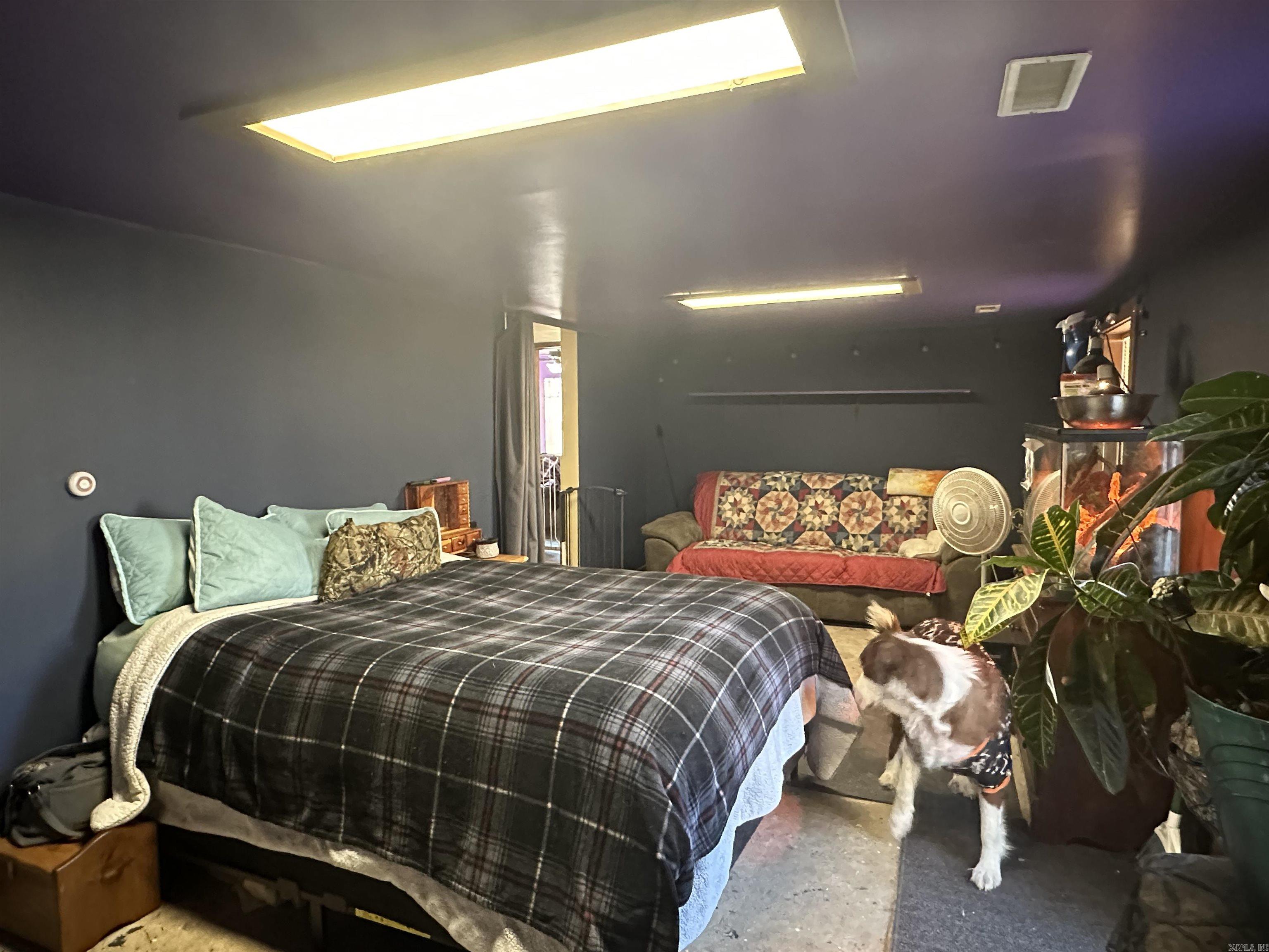 50 Cochise  Greers Ferry, AR