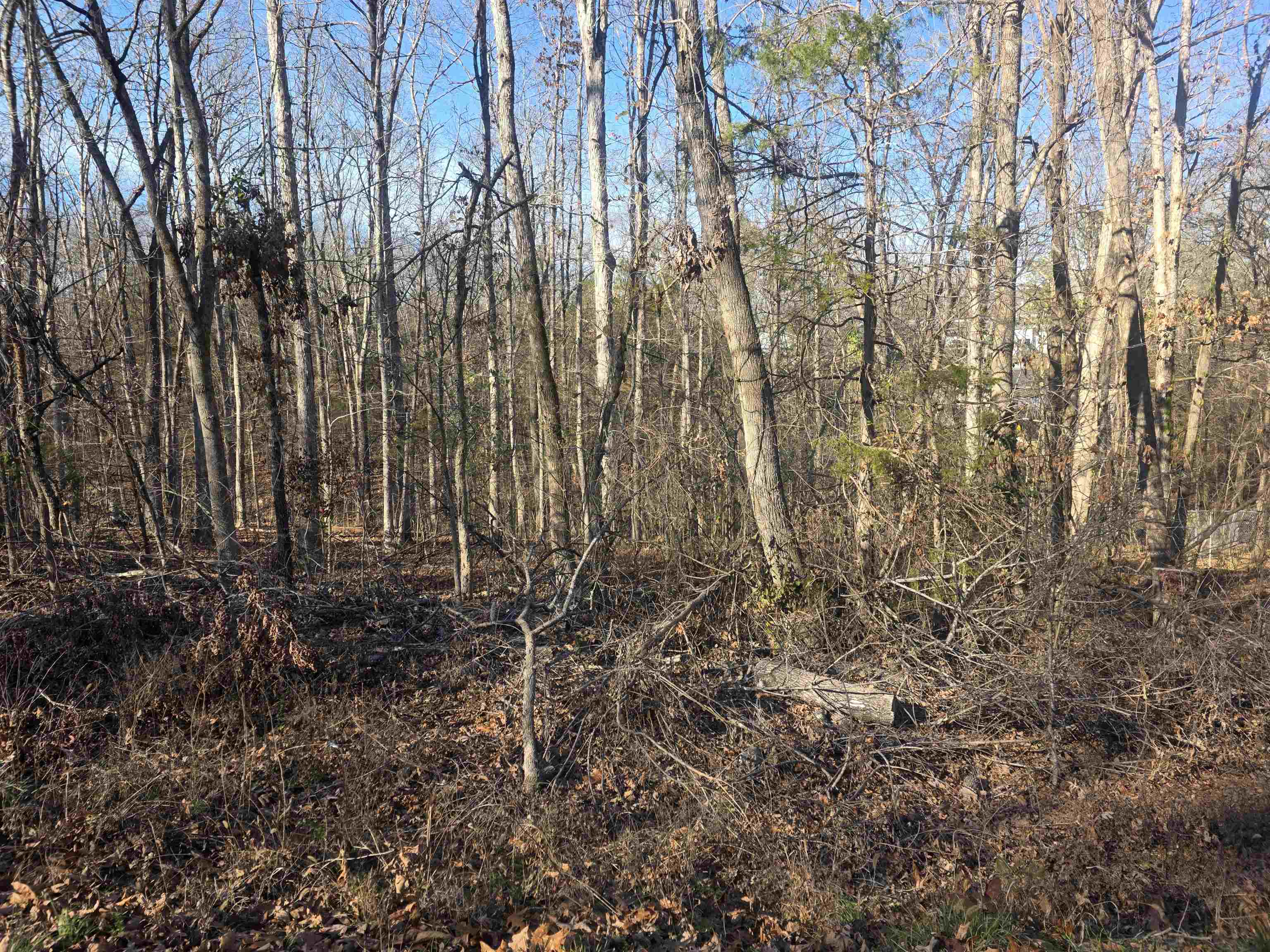 L-4 B-4 Powhatan  Cherokee Village, AR