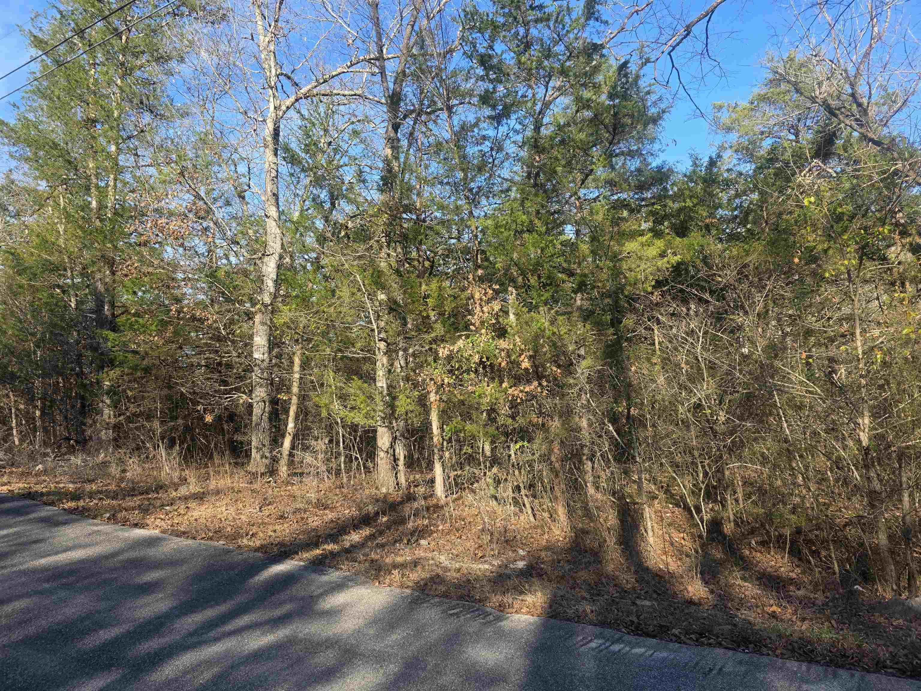 L-16, B-4 Indian  Cherokee Village, AR