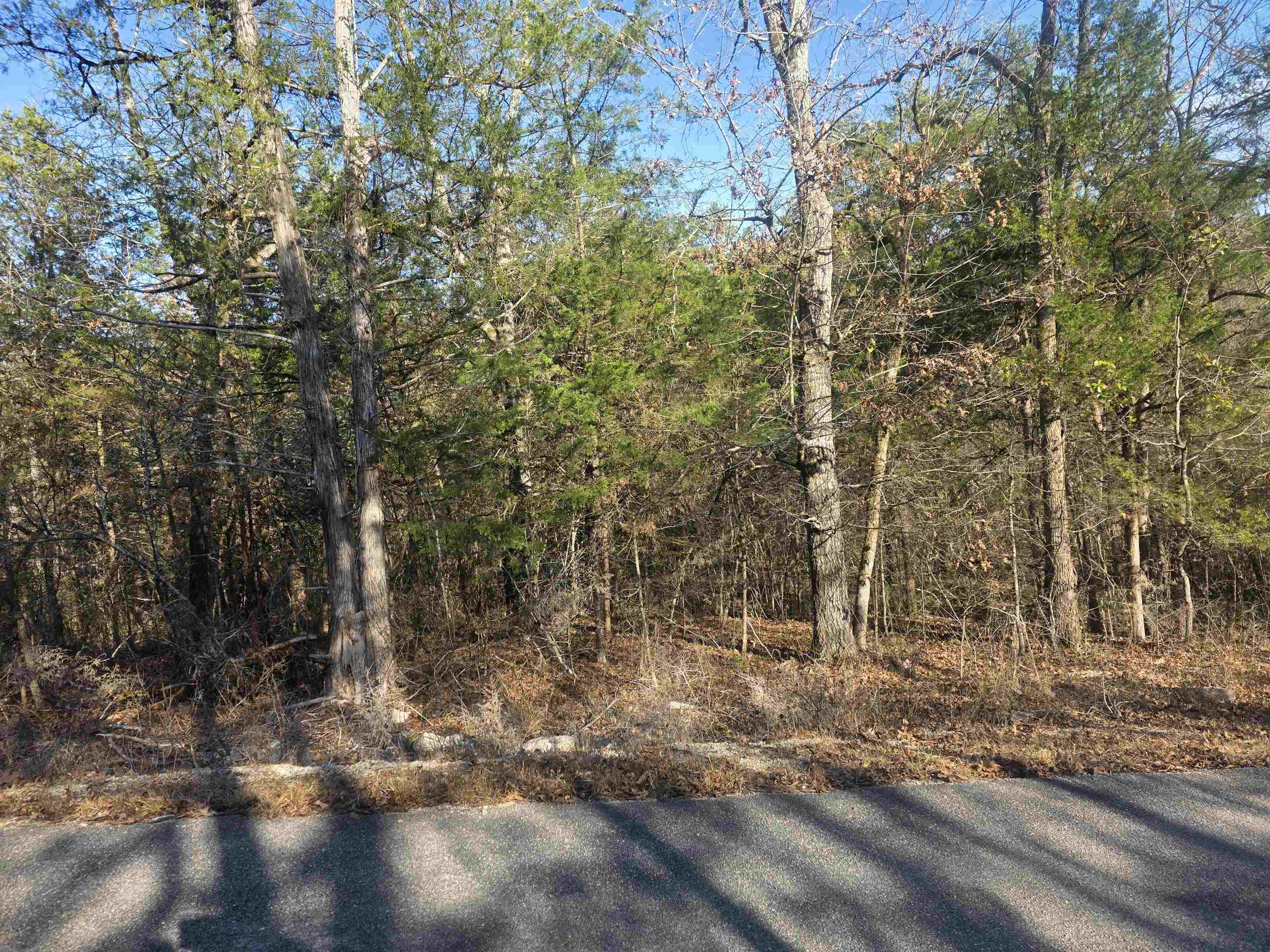 L-16, B-4 Indian  Cherokee Village, AR