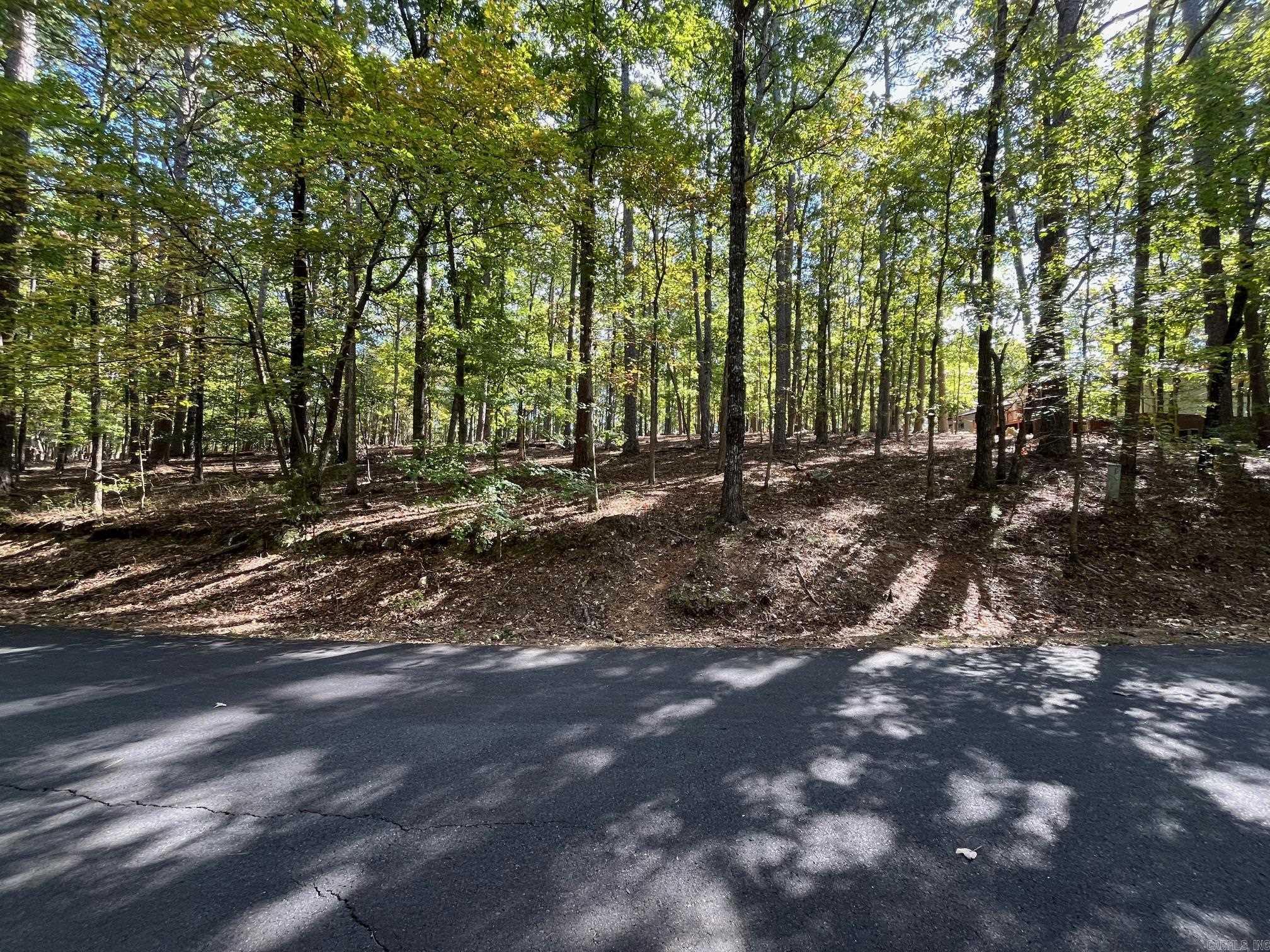 XXX Gerona  Hot Springs Village, AR