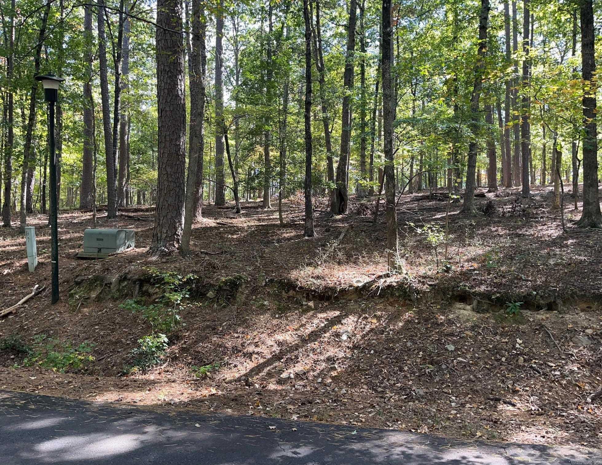 XXX Gerona  Hot Springs Village, AR