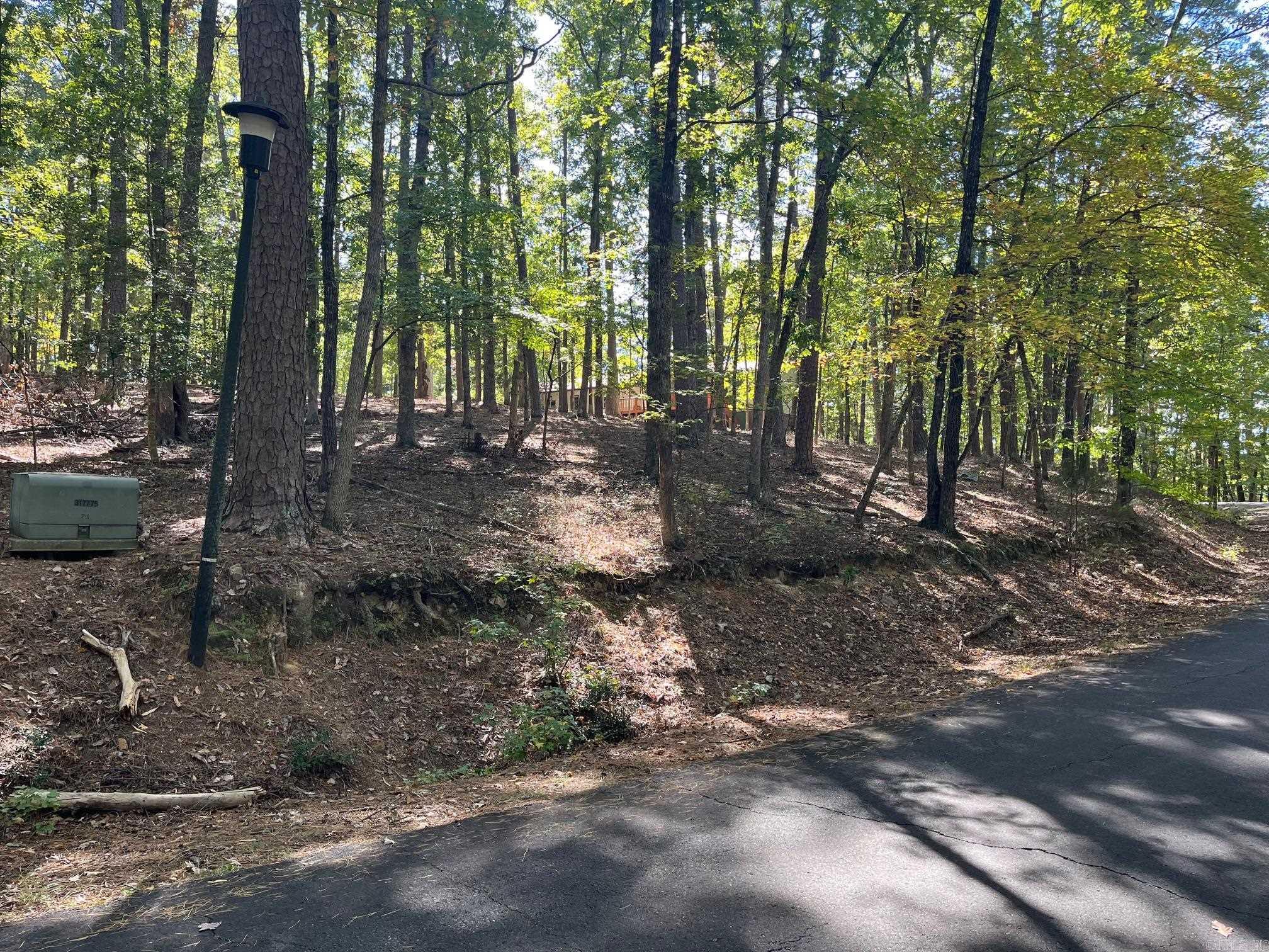 XXX Gerona  Hot Springs Village, AR