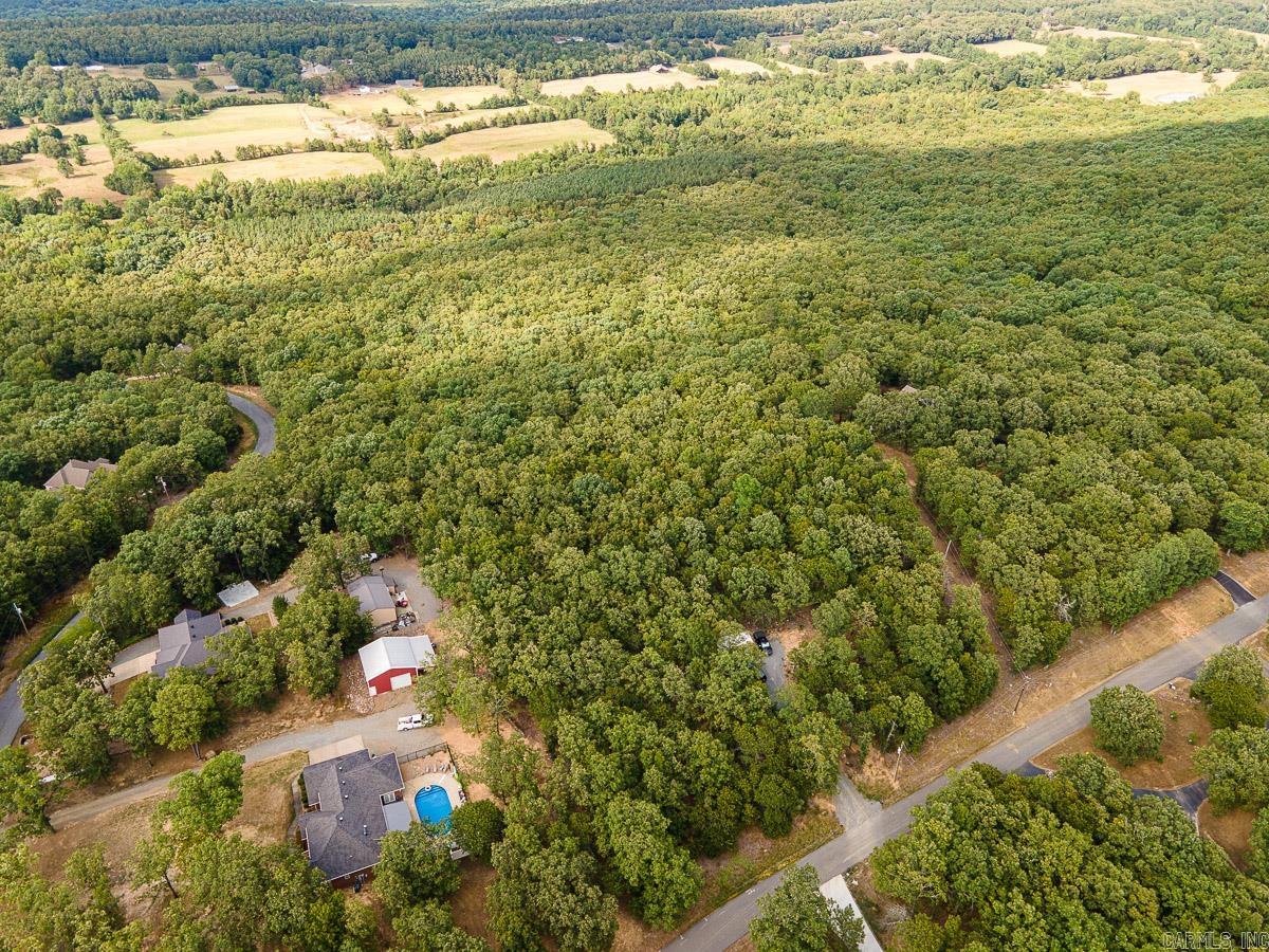 65 Hays Hill  Conway, AR