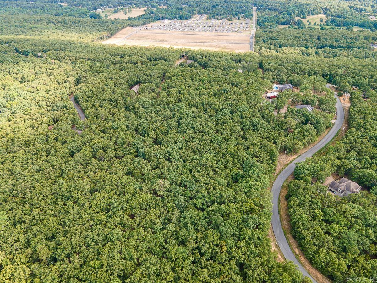 65 Hays Hill  Conway, AR