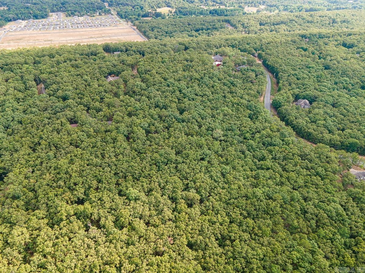 65 Hays Hill  Conway, AR