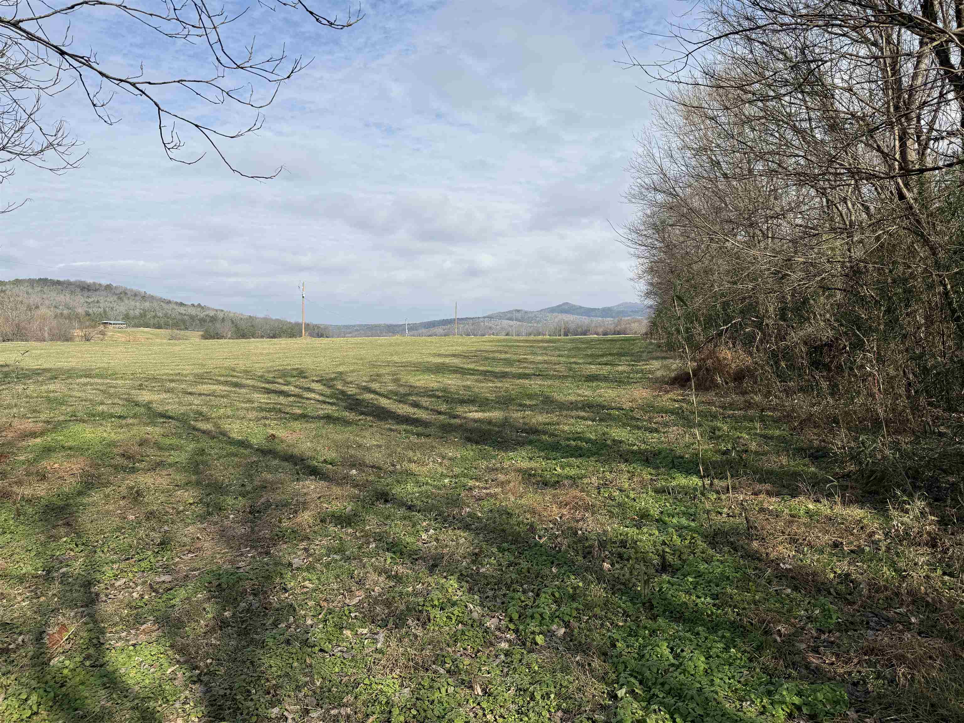 3 Allure Lane  Mountain View, AR