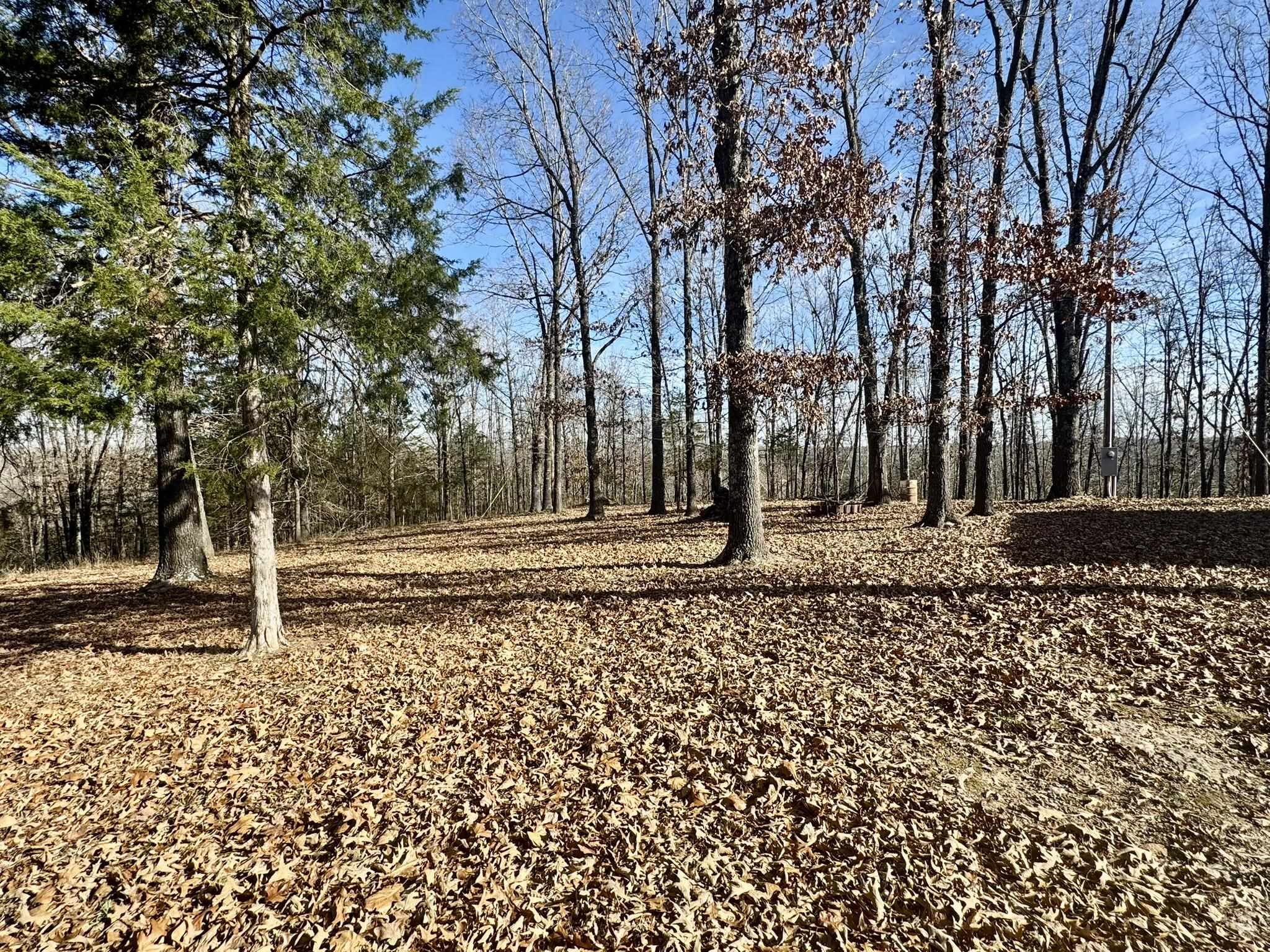 1400 Antioch Road  Melbourne, AR