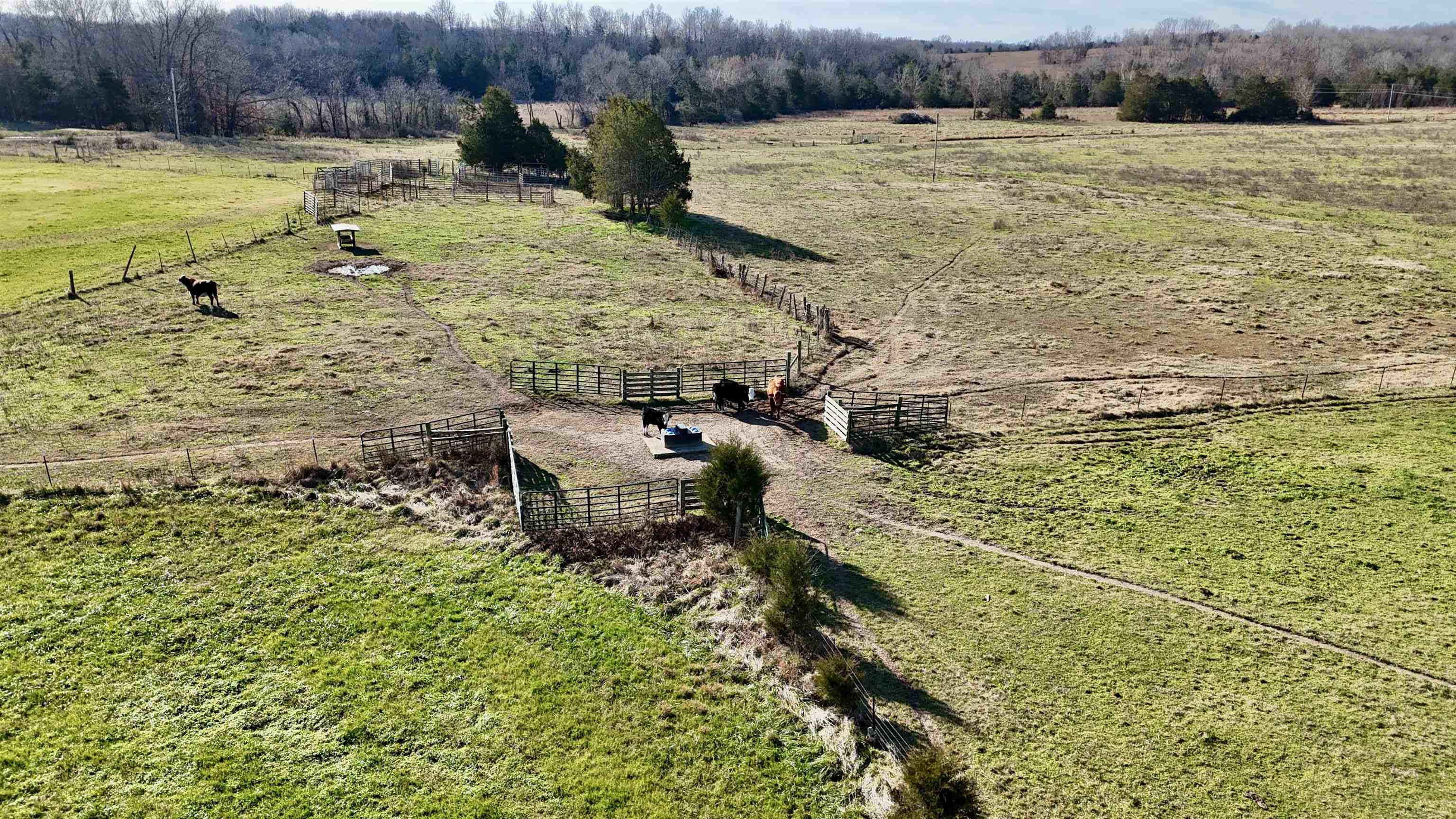 1400 Antioch Road  Melbourne, AR