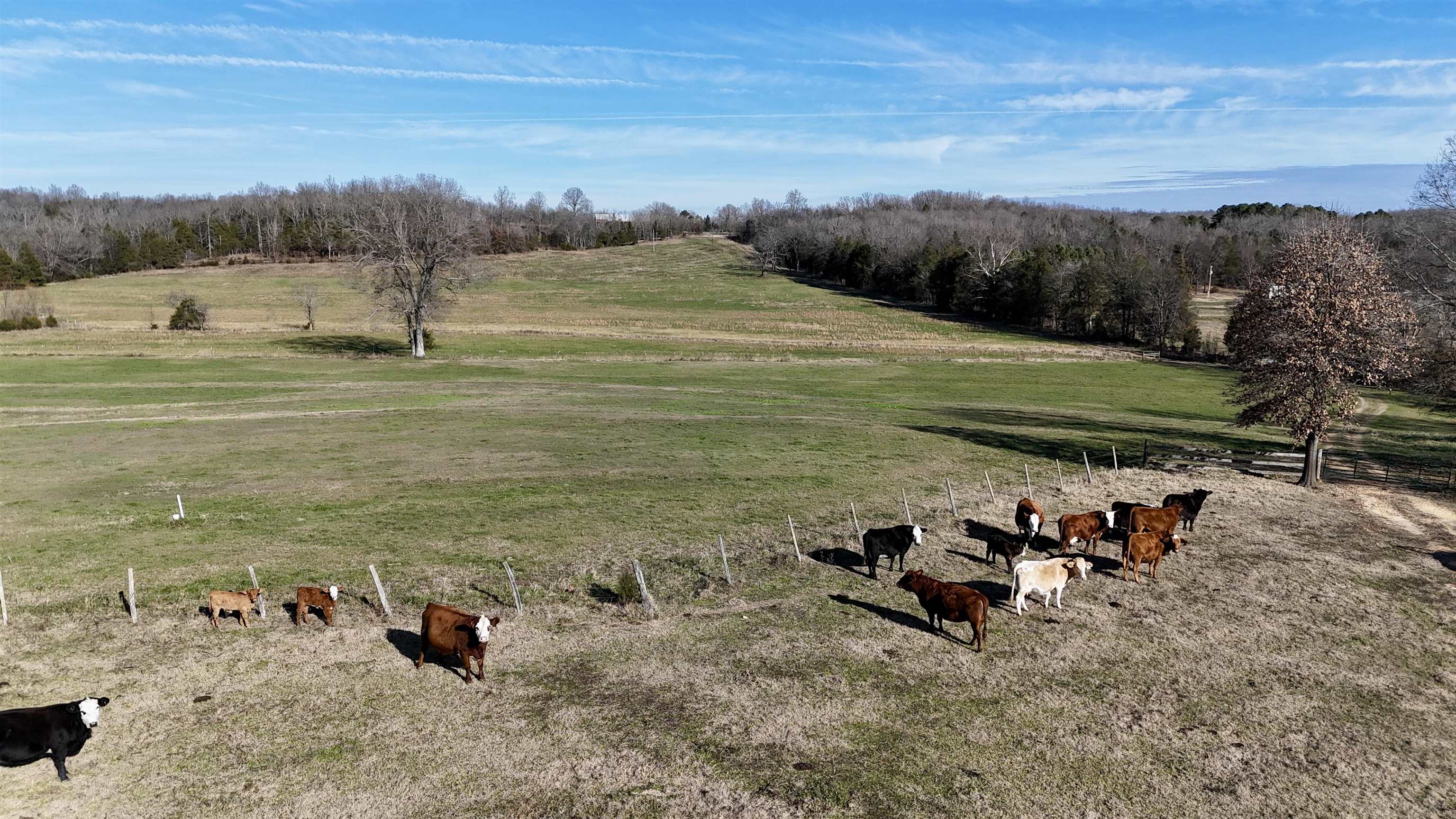 1400 Antioch Road  Melbourne, AR