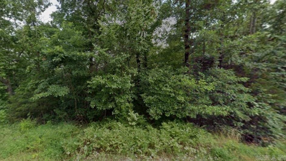 Lot 1 Natchez  Cherokee Village, AR