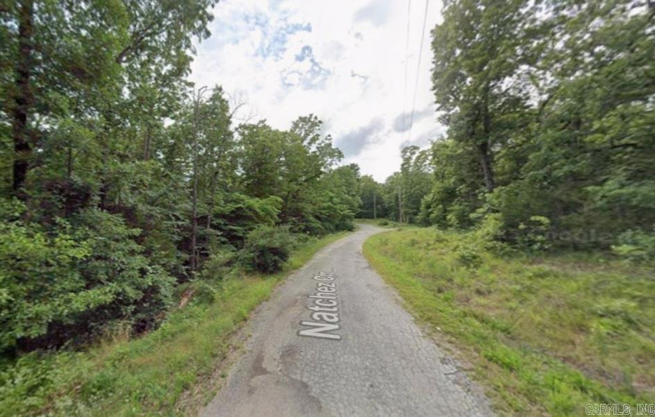 Lot 1 Natchez  Cherokee Village, AR