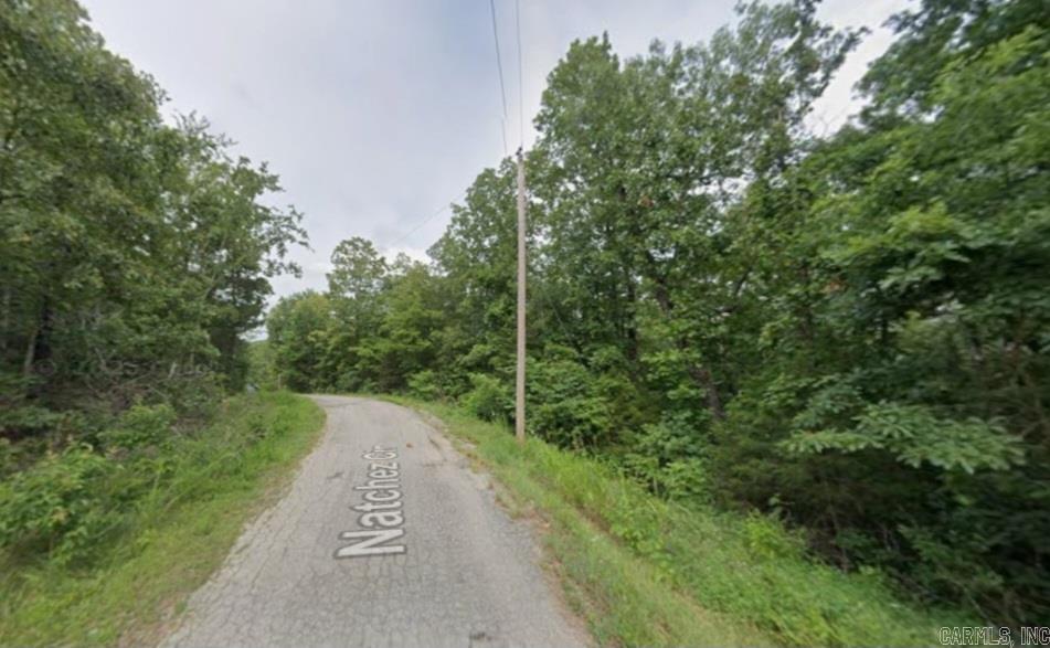 Lot 1 Natchez  Cherokee Village, AR