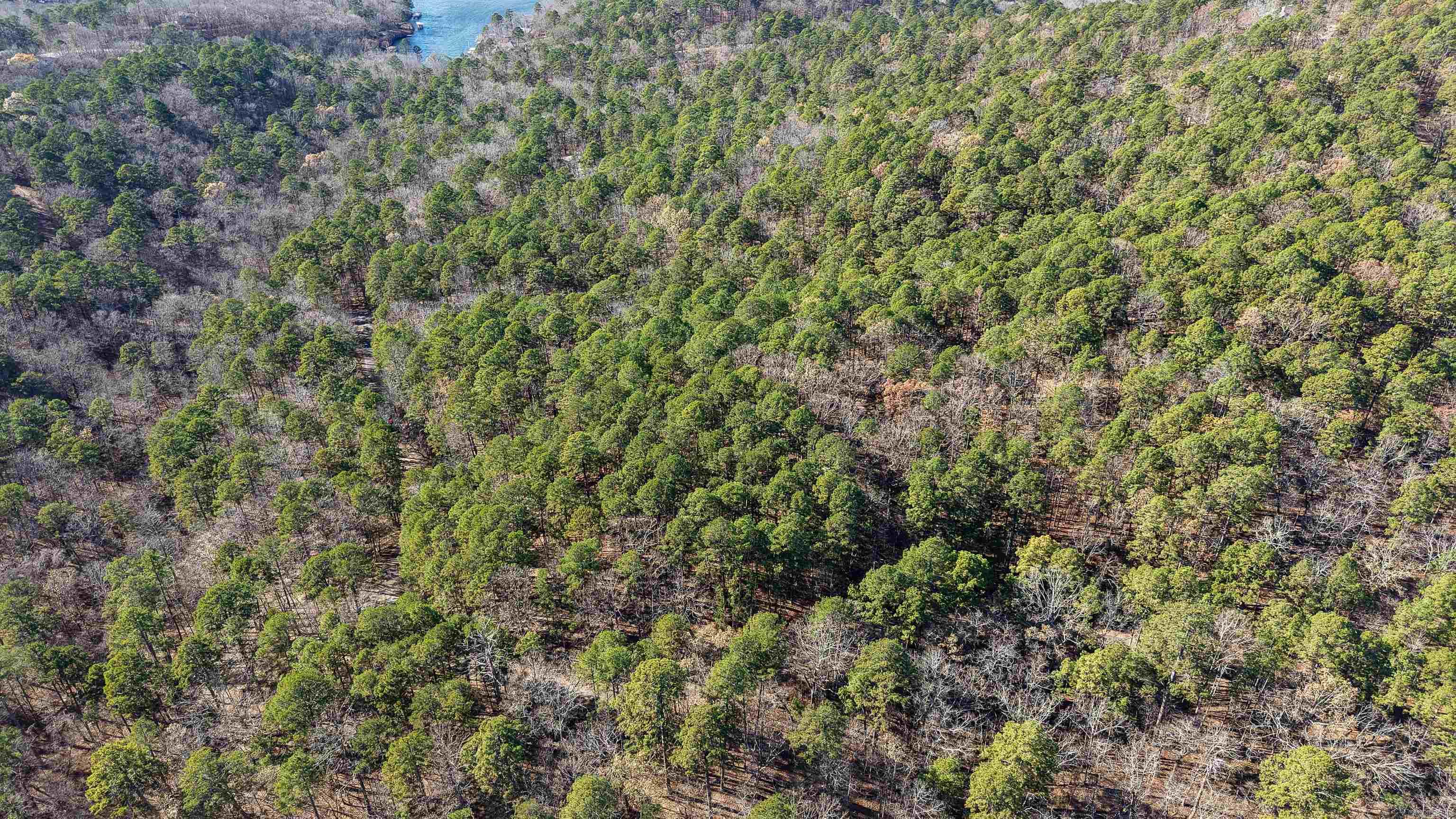 68 La Palabra  Hot Springs Village, AR