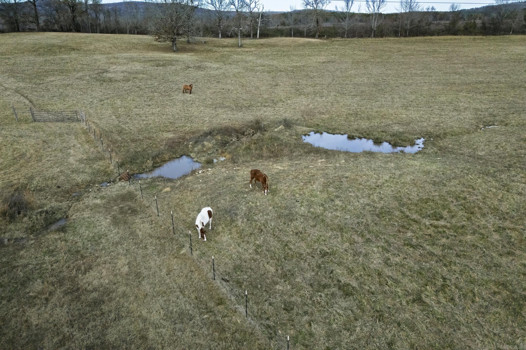 2356 Fendley Rd  Bismarck, AR