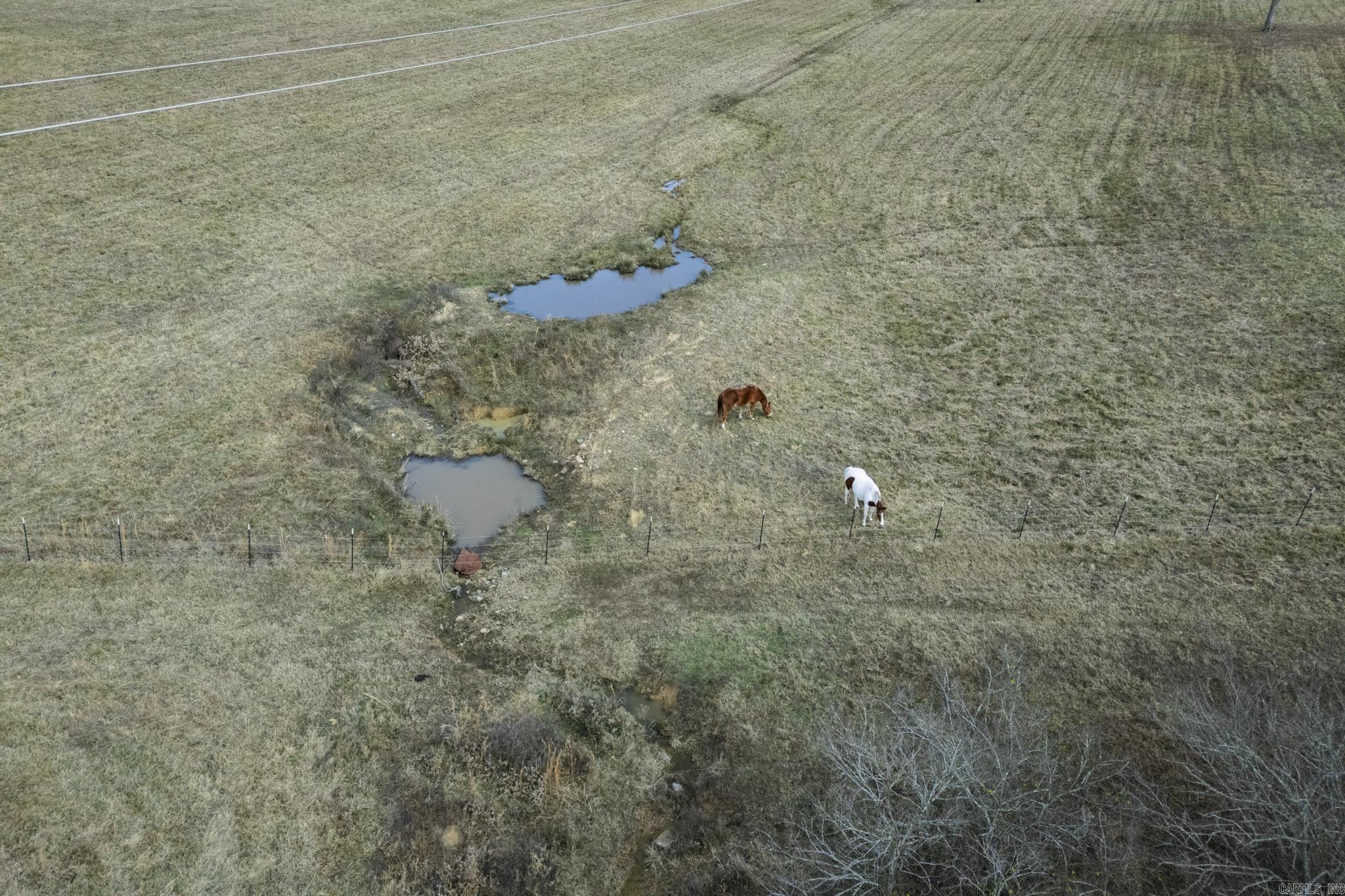 2356 Fendley Rd  Bismarck, AR