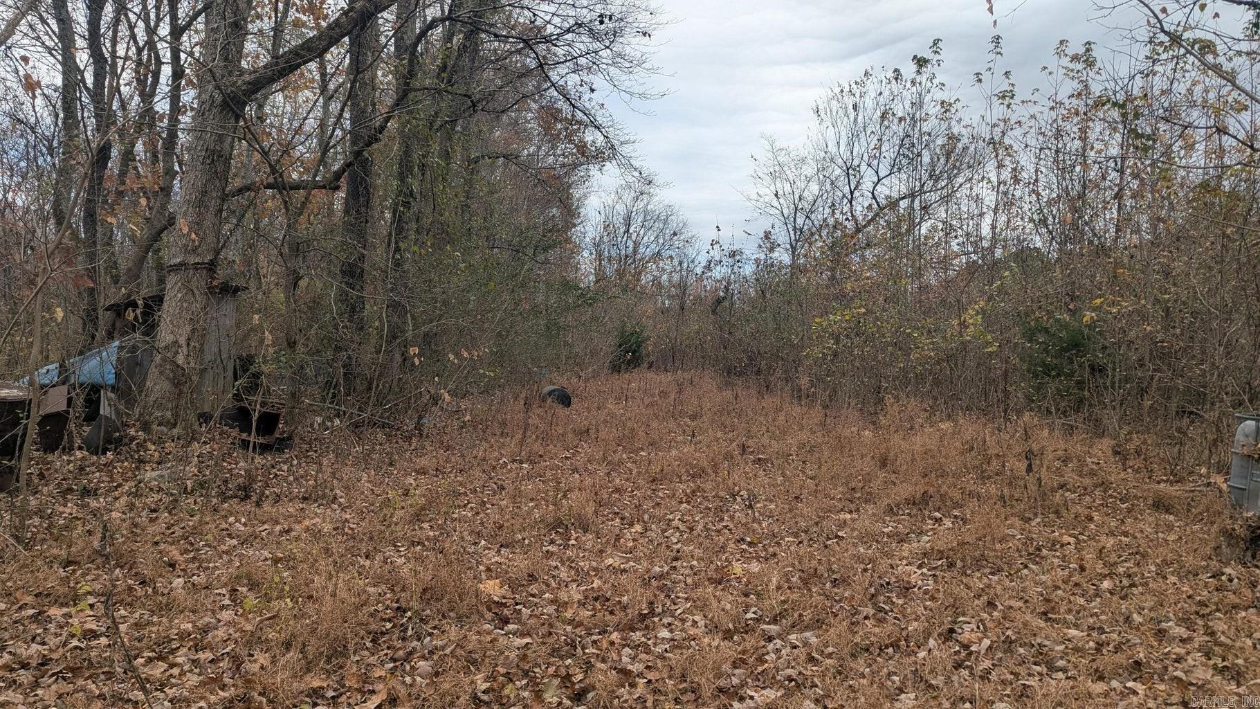 401 Weaver  Charlotte, AR