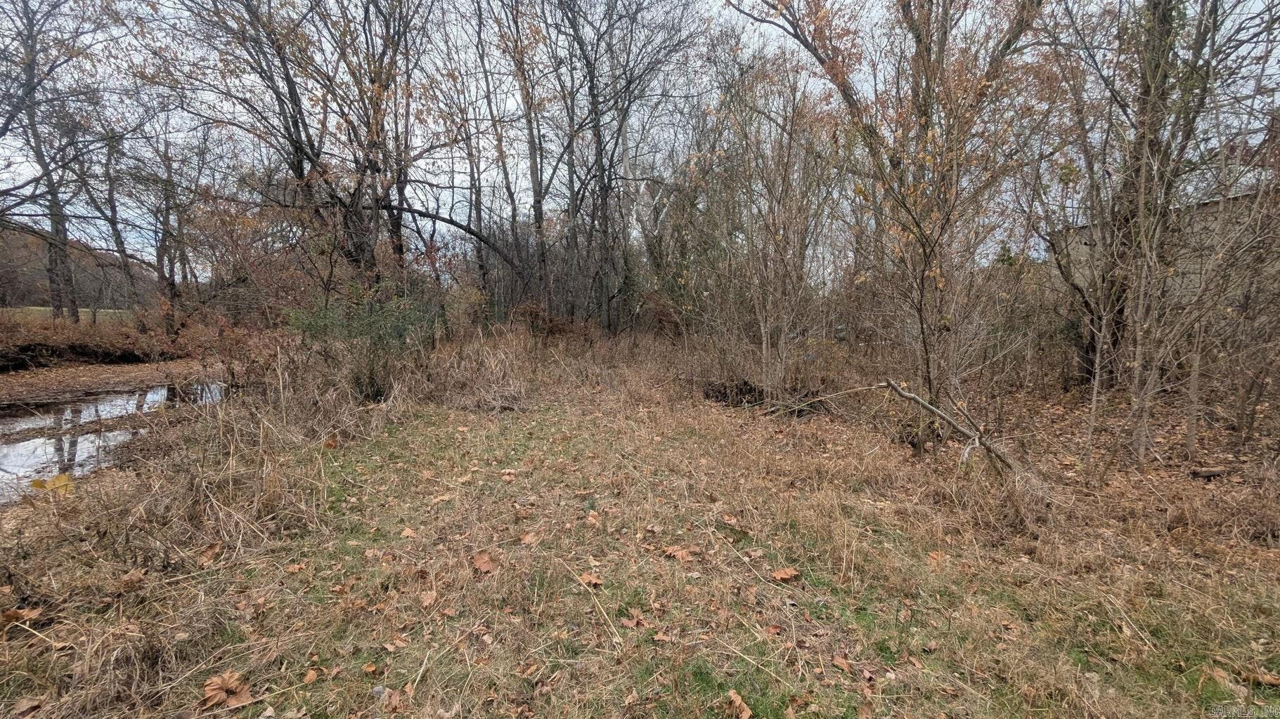 401 Weaver  Charlotte, AR