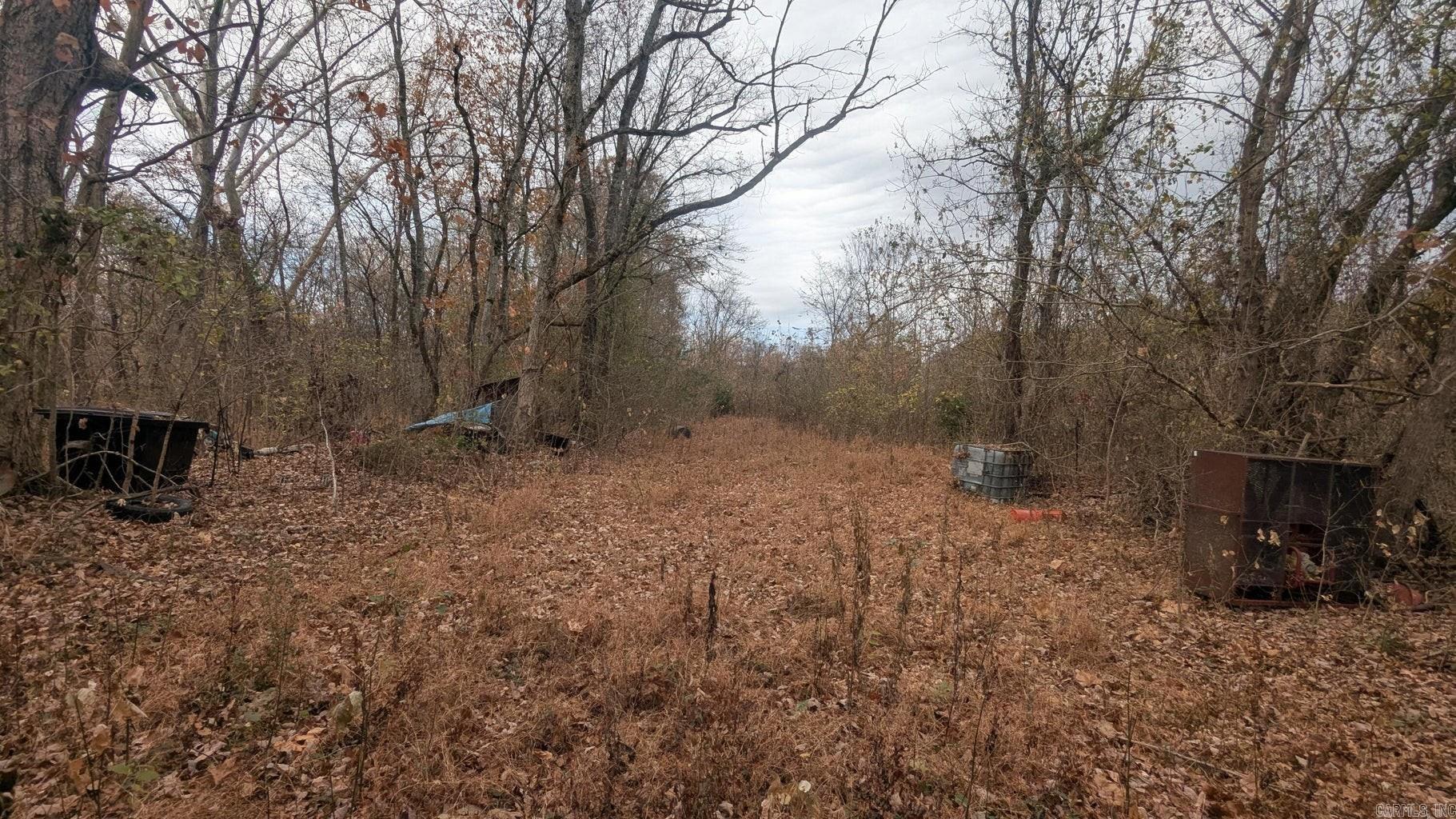 401 Weaver  Charlotte, AR