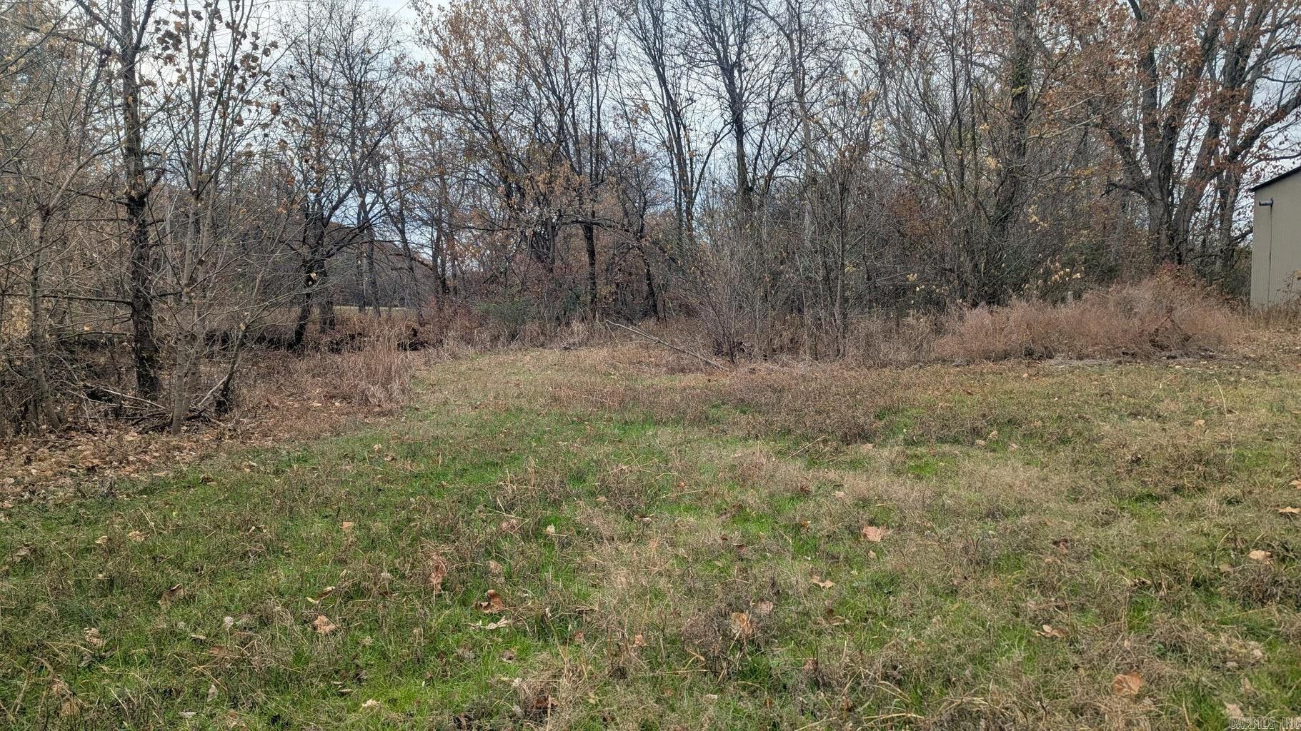 401 Weaver  Charlotte, AR