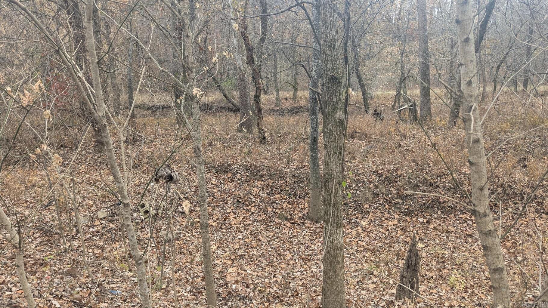 401 Weaver  Charlotte, AR