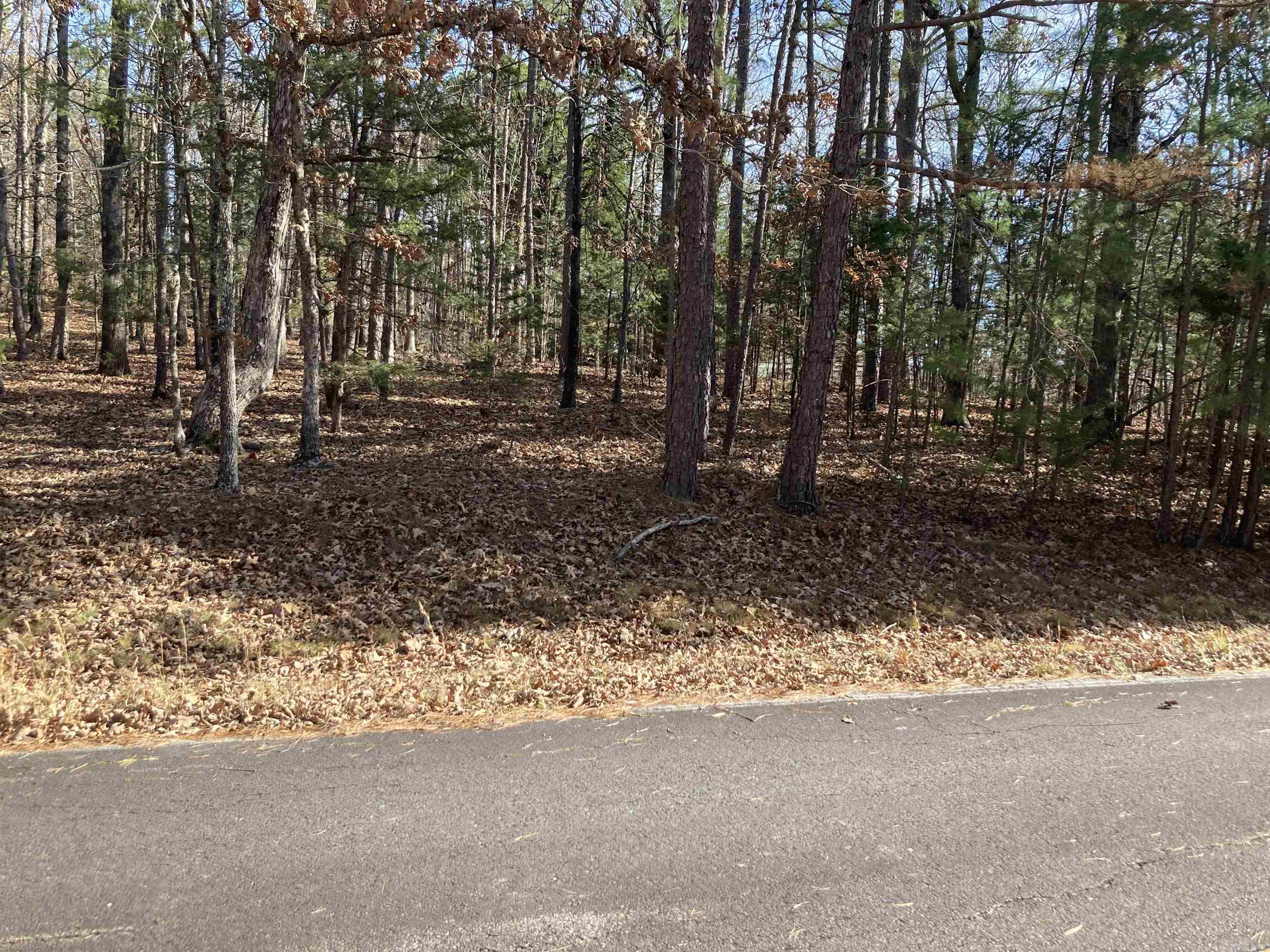 Lot58 & 59 Blk4 Hilltop Dr At Hillcrest Dr  Fairfield Bay, AR