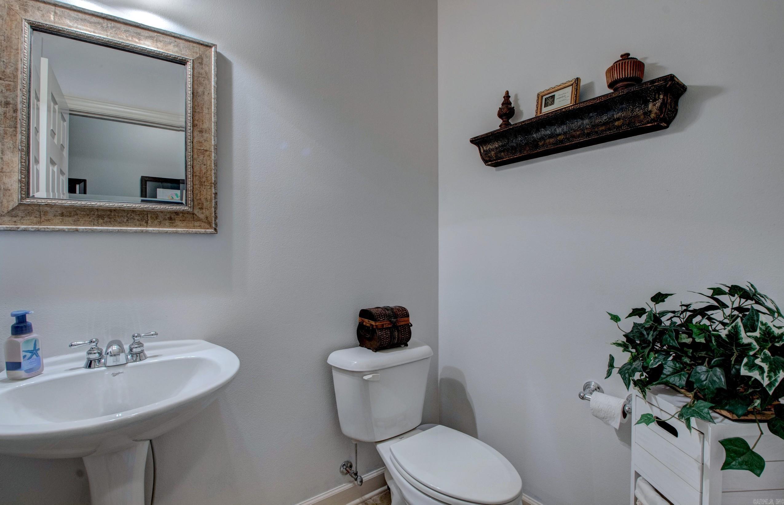 7 Wood Thrush  Little Rock, AR