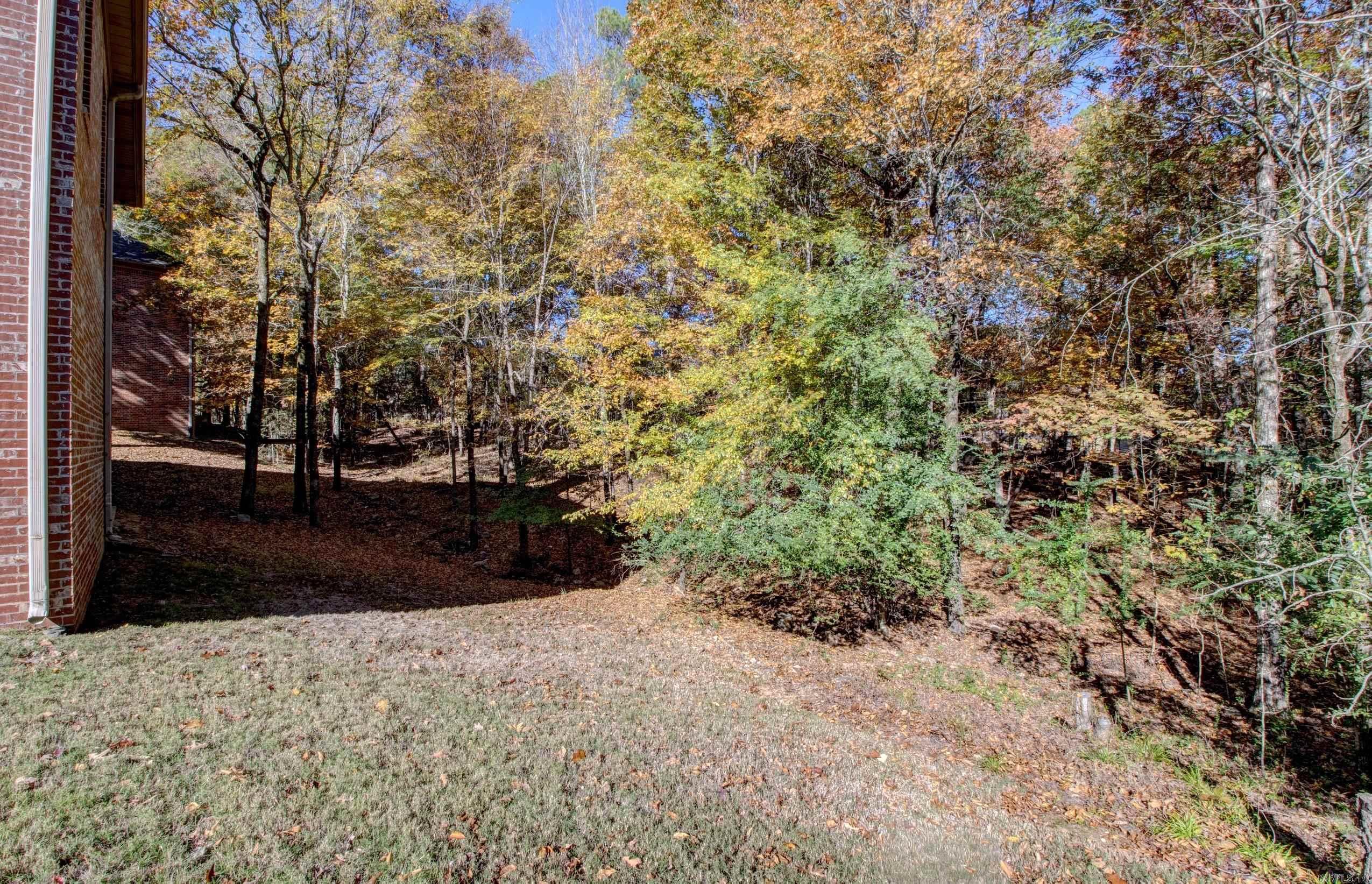 7 Wood Thrush  Little Rock, AR