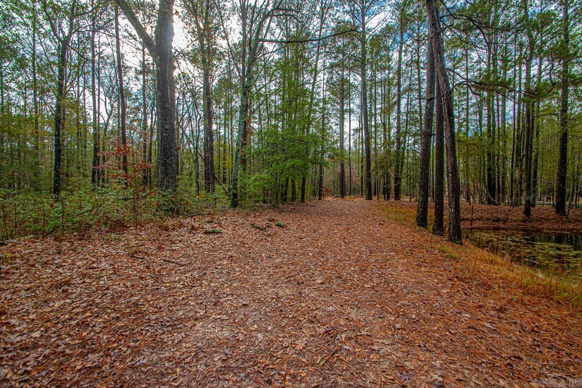 37 Grant 33  Poyen, AR