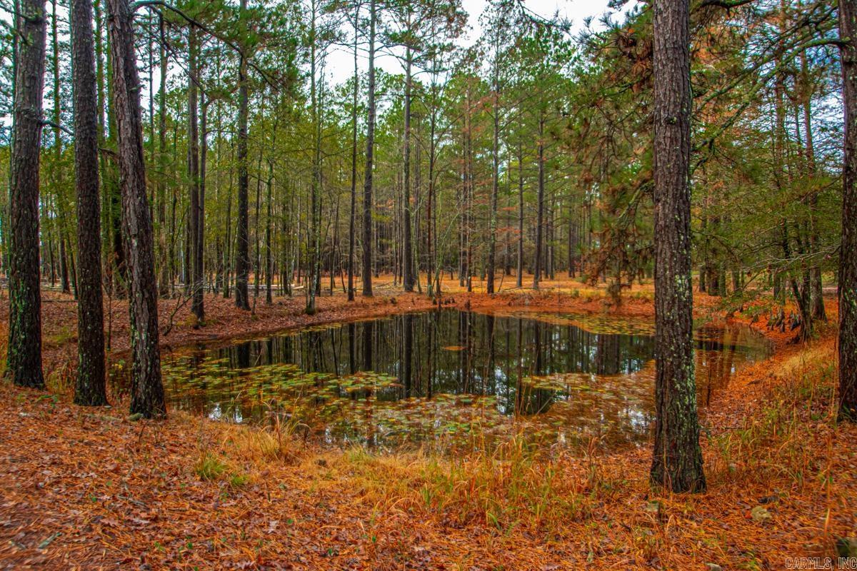 37 Grant 33  Poyen, AR