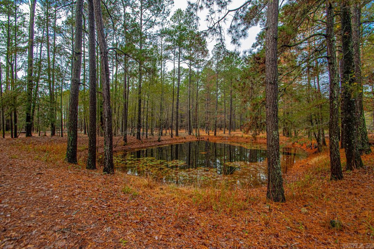 37 Grant 33  Poyen, AR