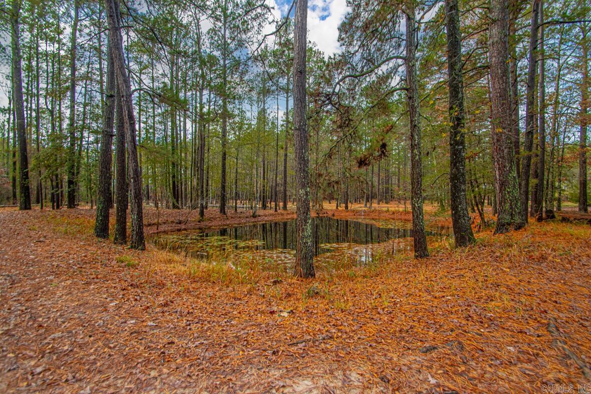 37 Grant 33  Poyen, AR